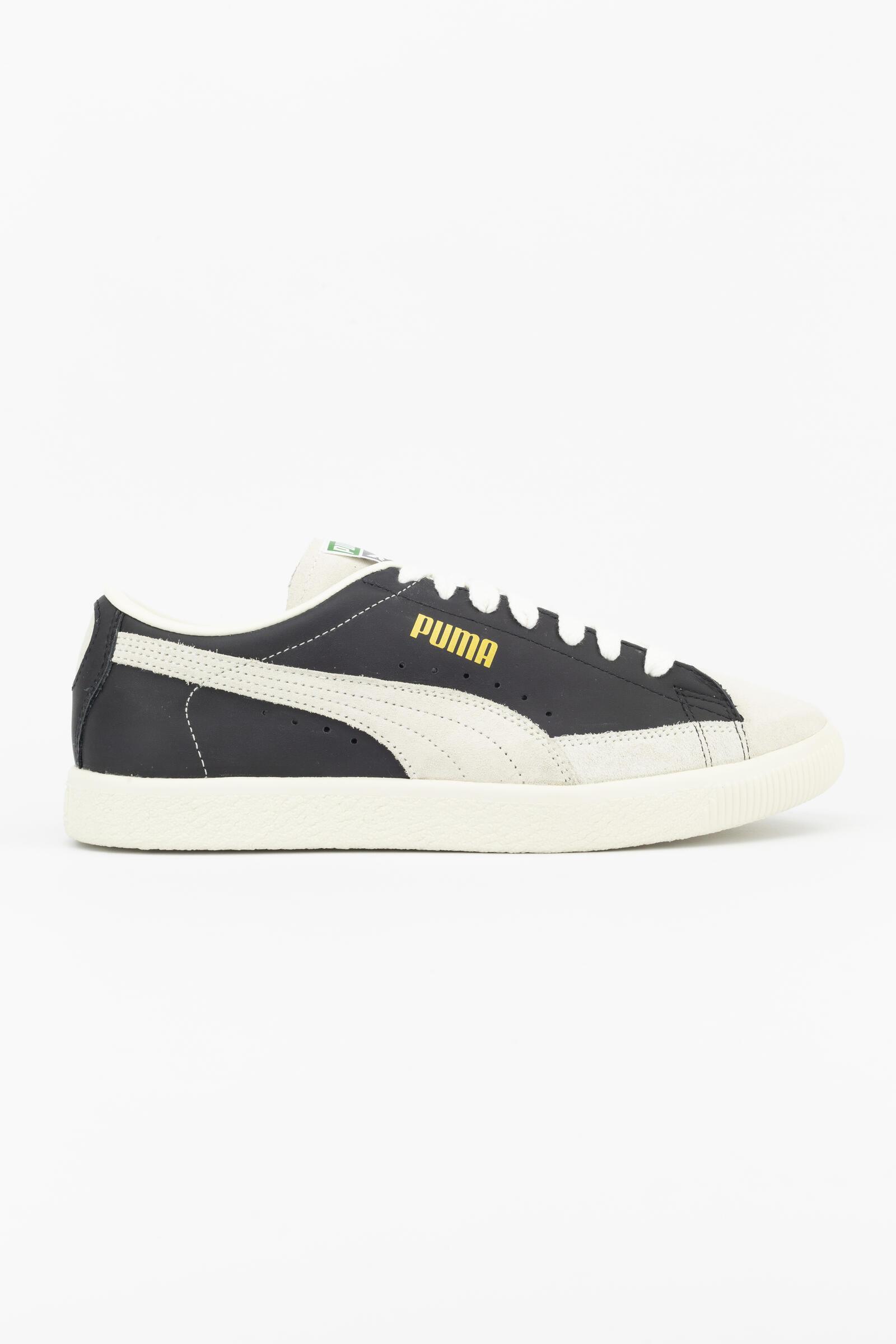 PUMA picture