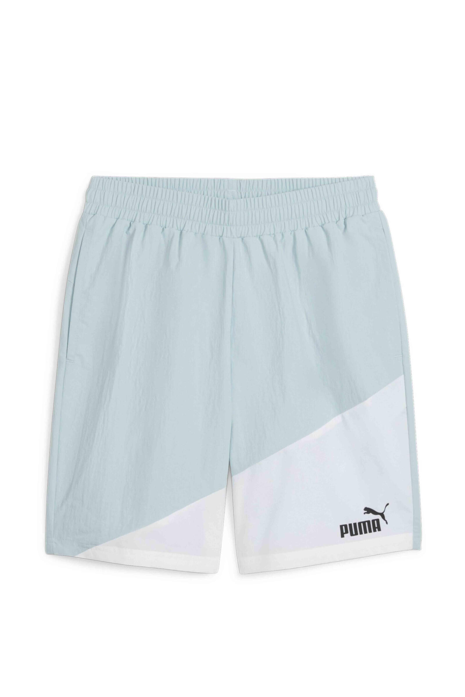 PUMA picture