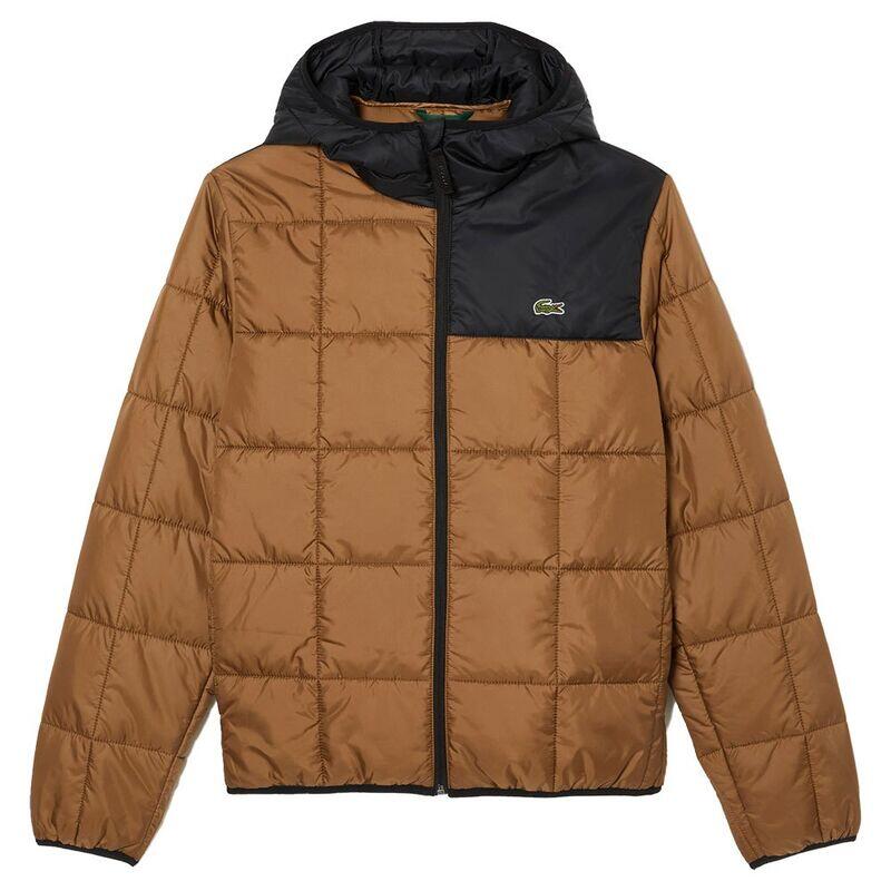 LACOSTE picture