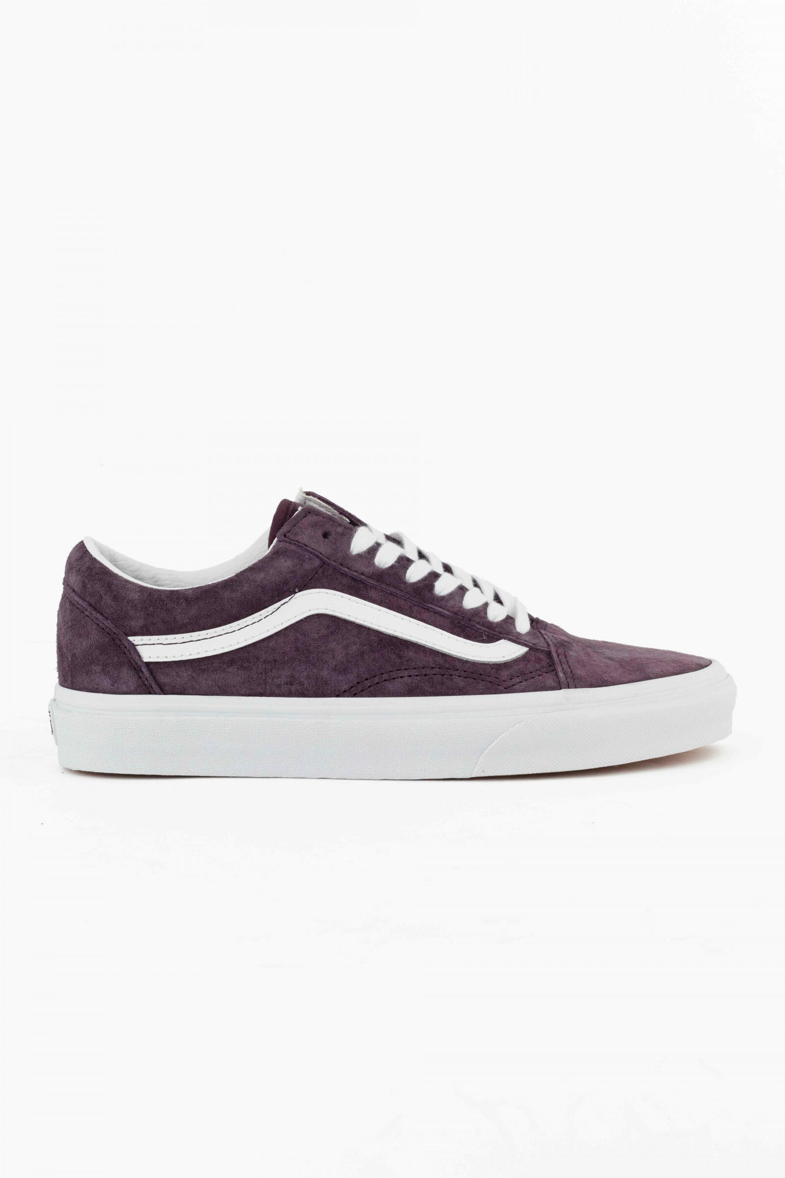 VANS picture