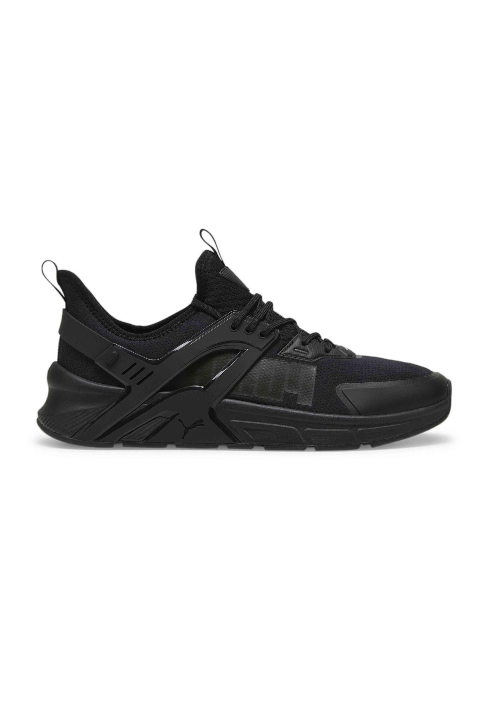 PUMA picture