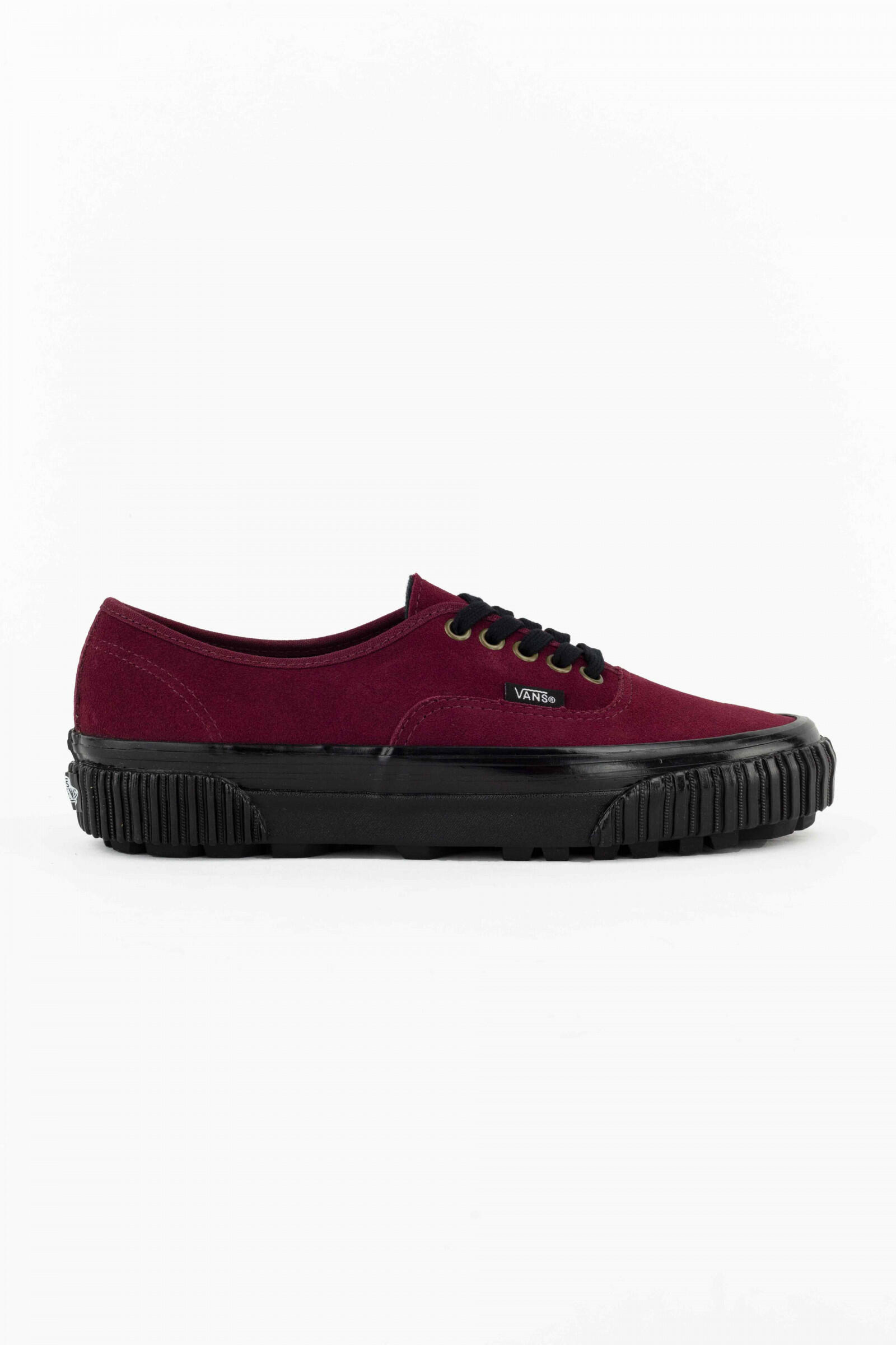 VANS picture