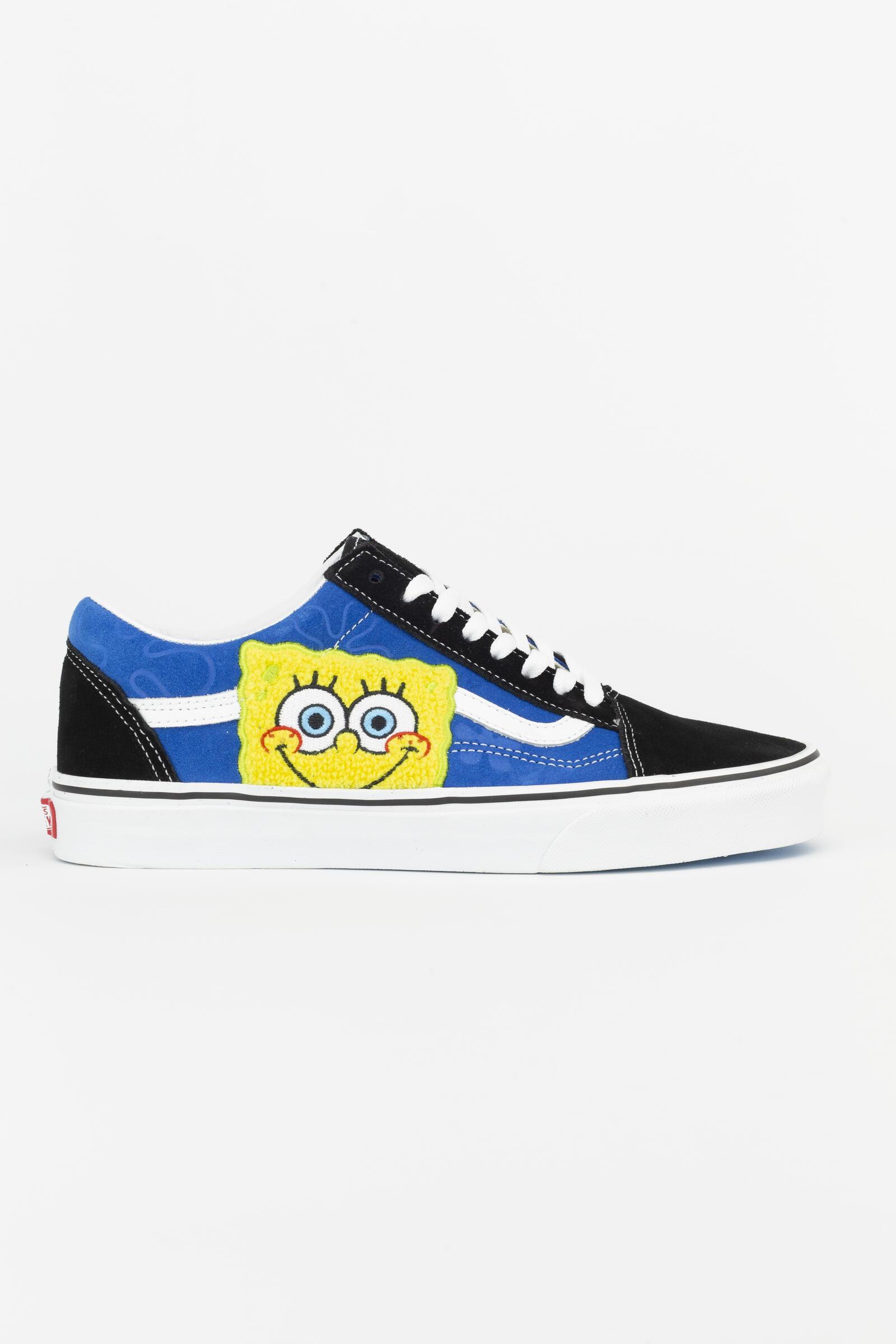 VANS picture