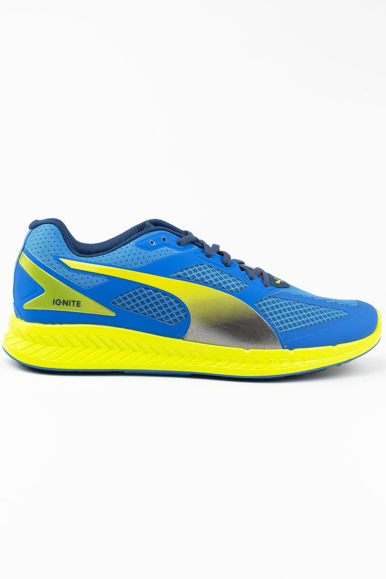 PUMA picture
