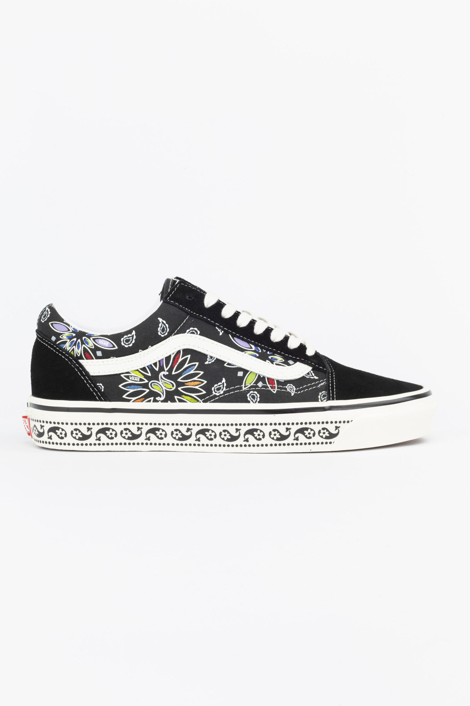VANS picture
