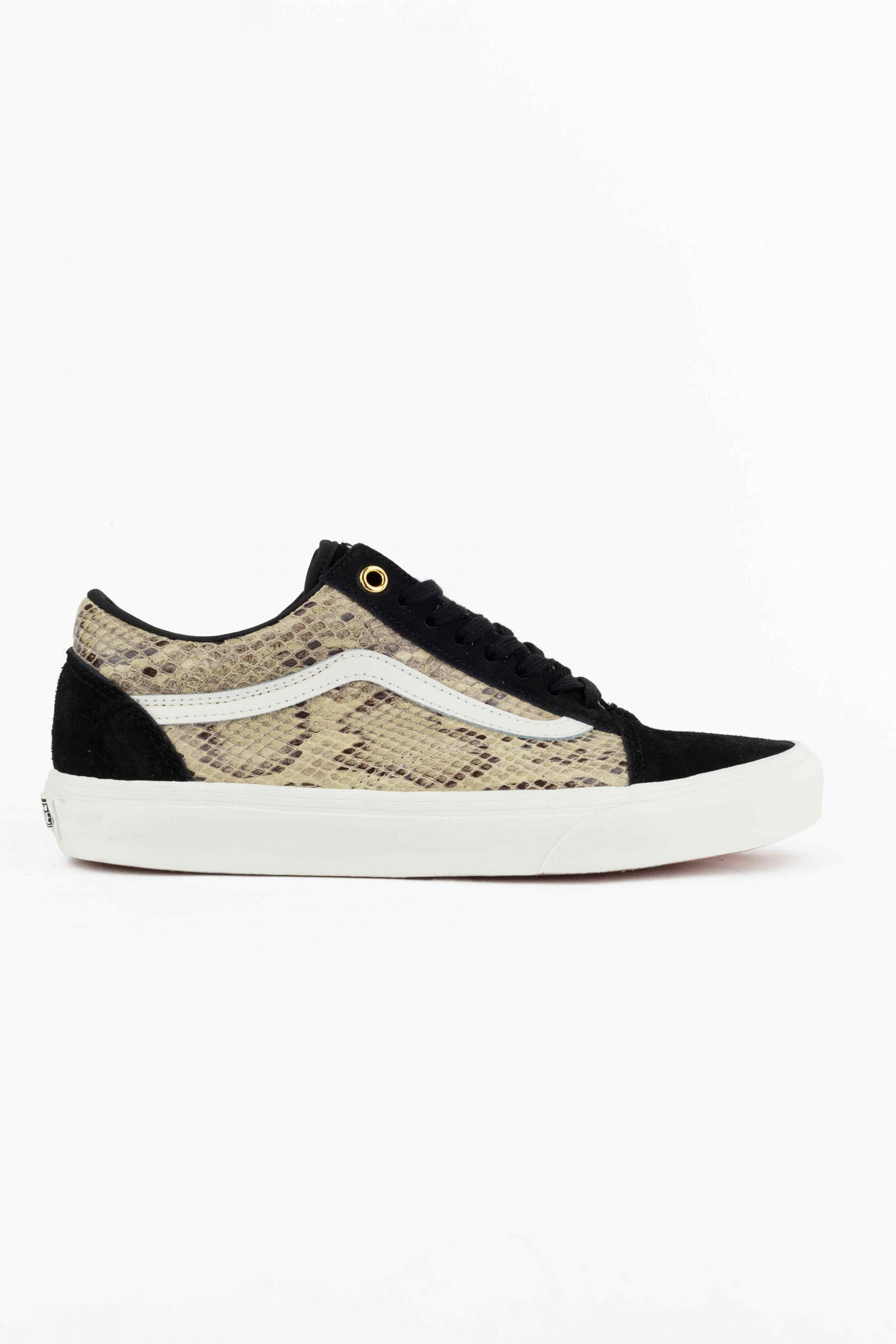 VANS picture