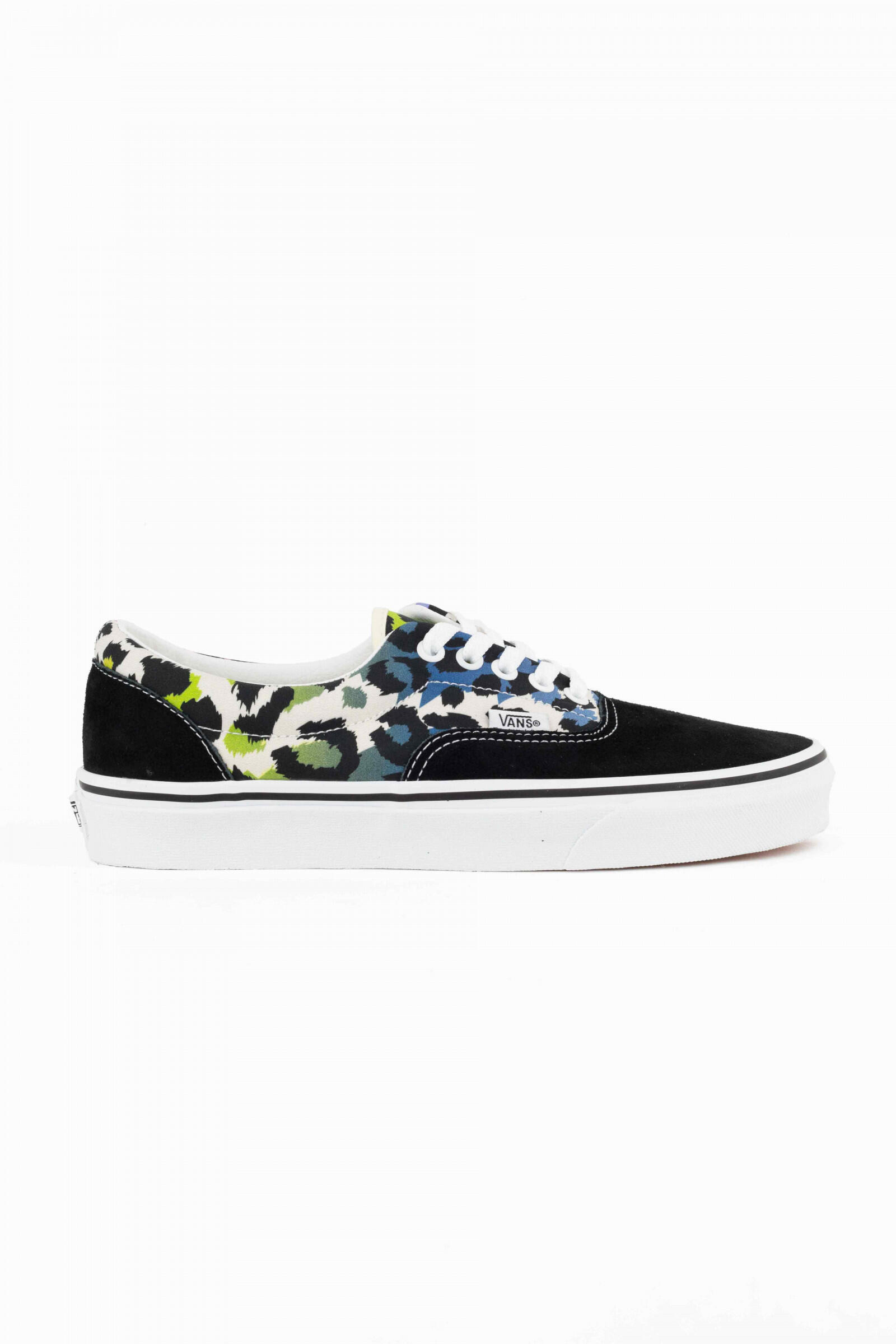 VANS picture