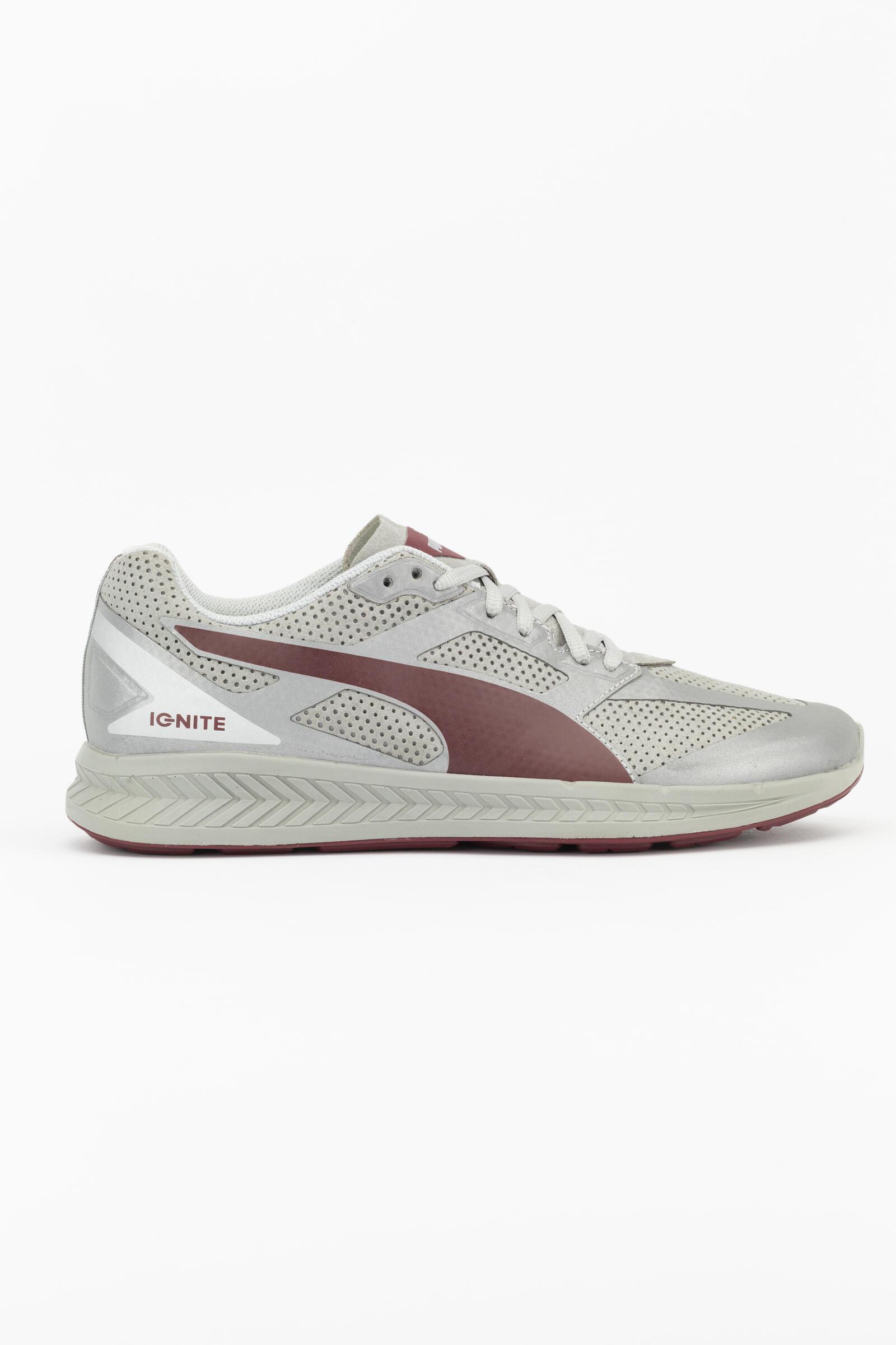 PUMA picture