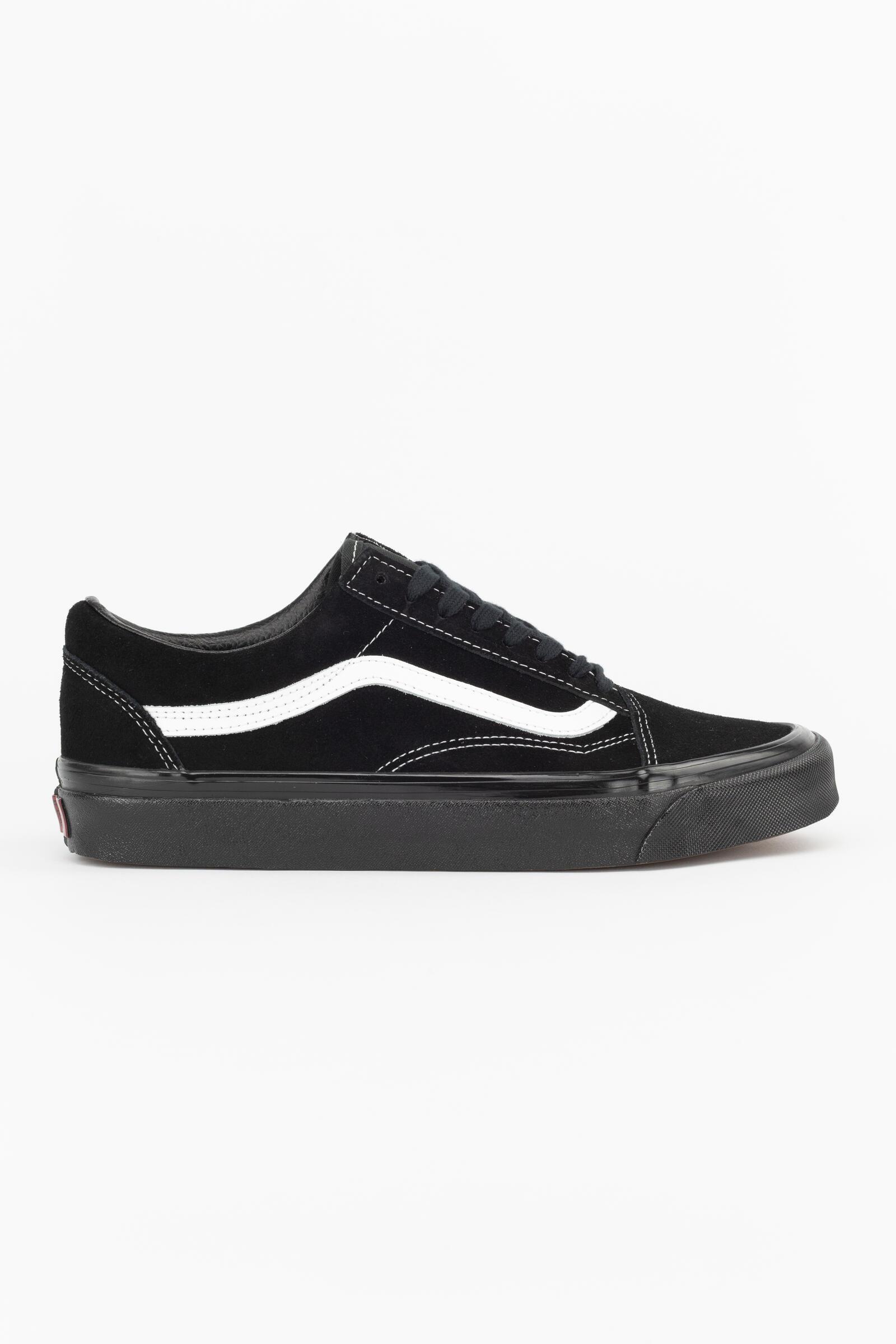 VANS picture