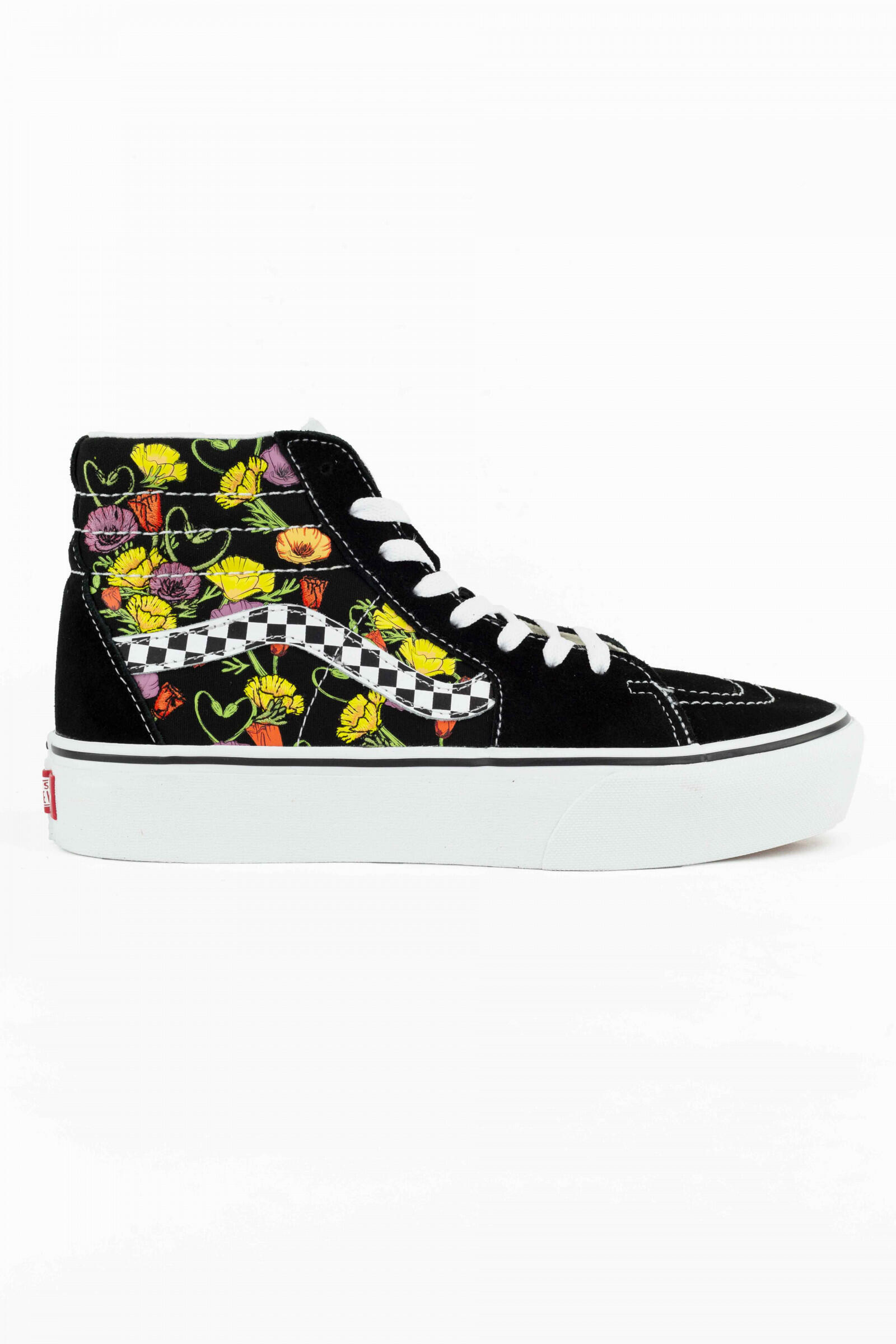 VANS picture