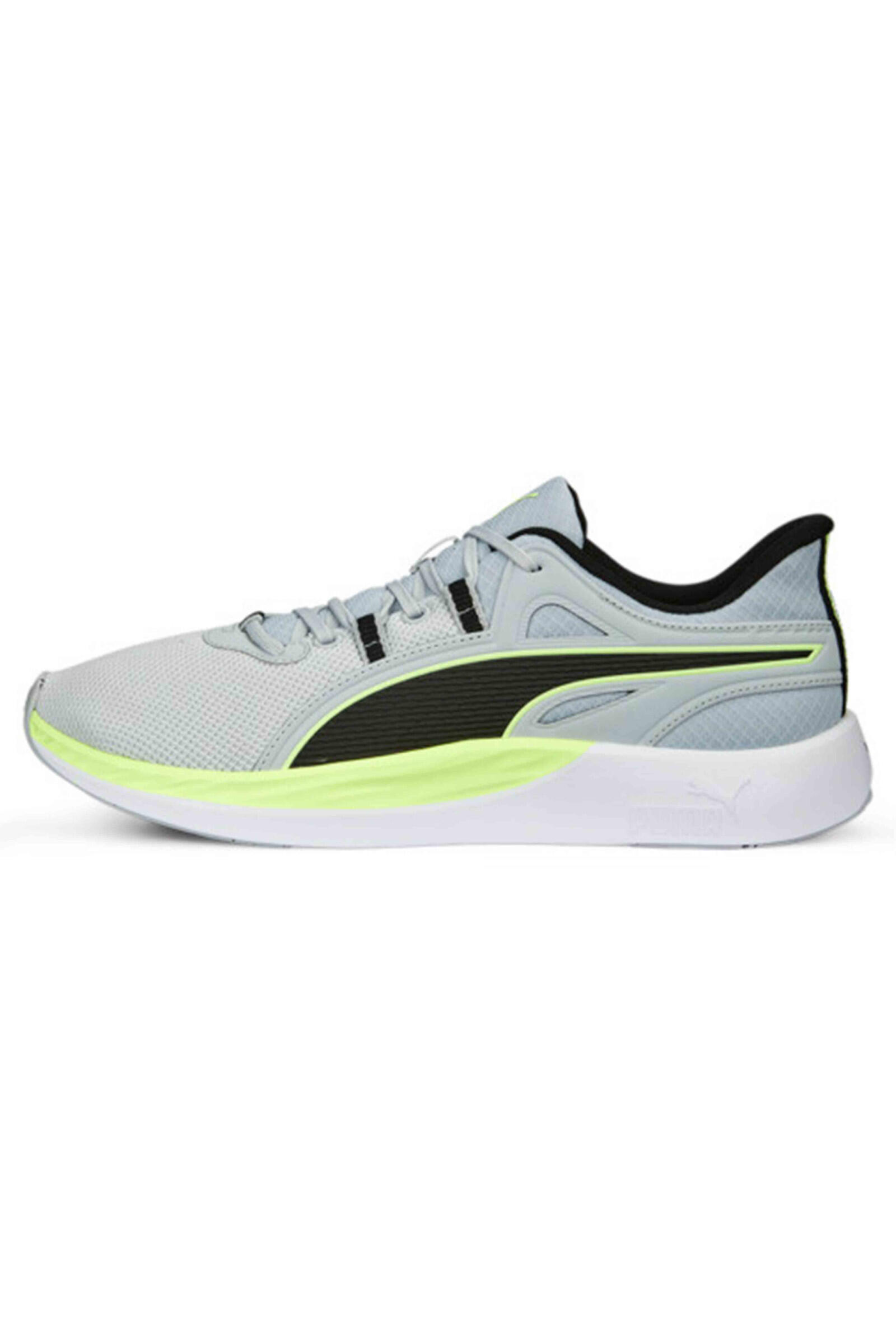PUMA picture