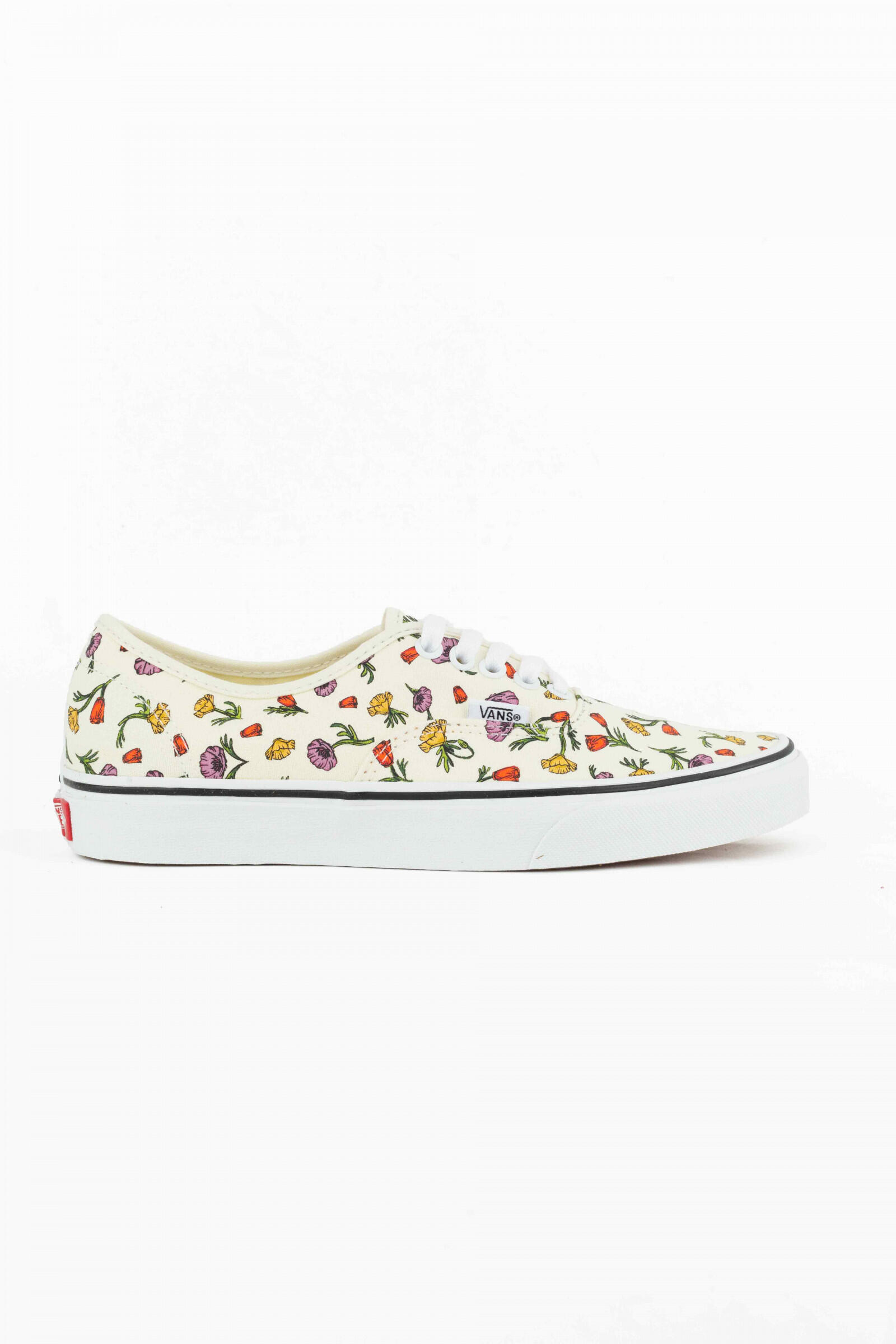 VANS picture
