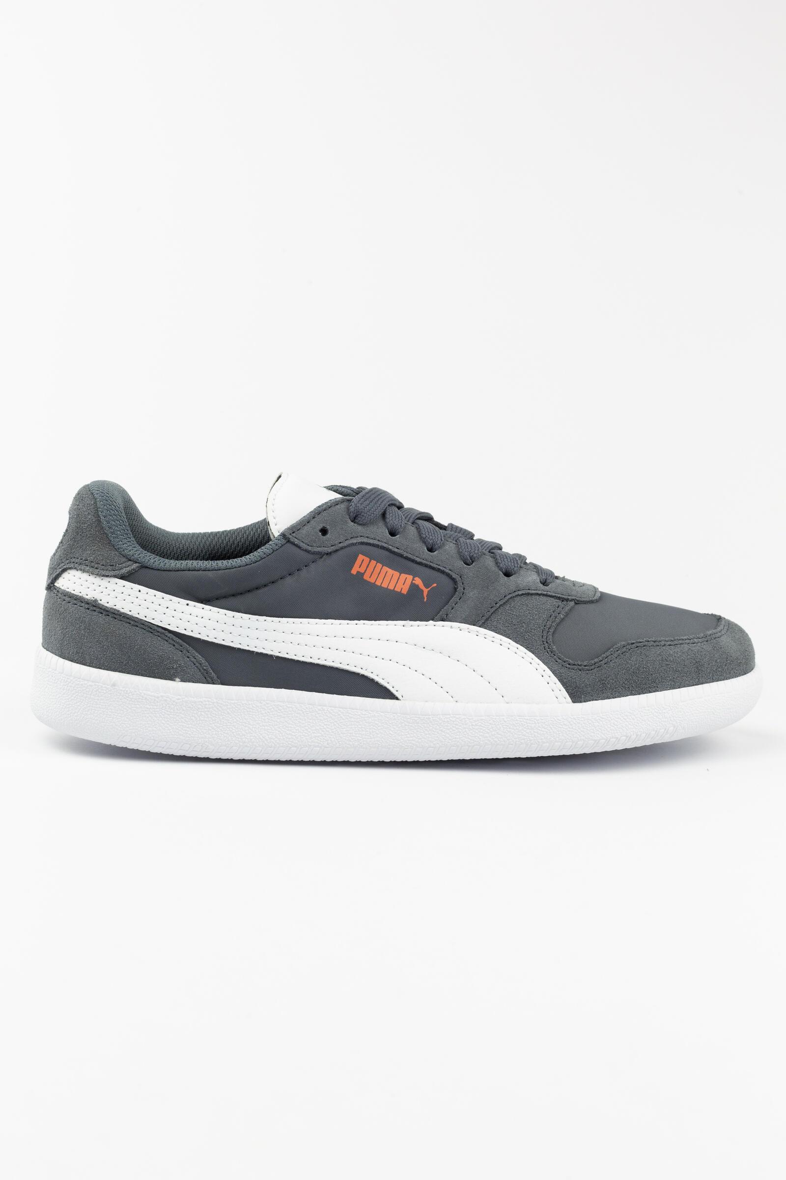 PUMA picture