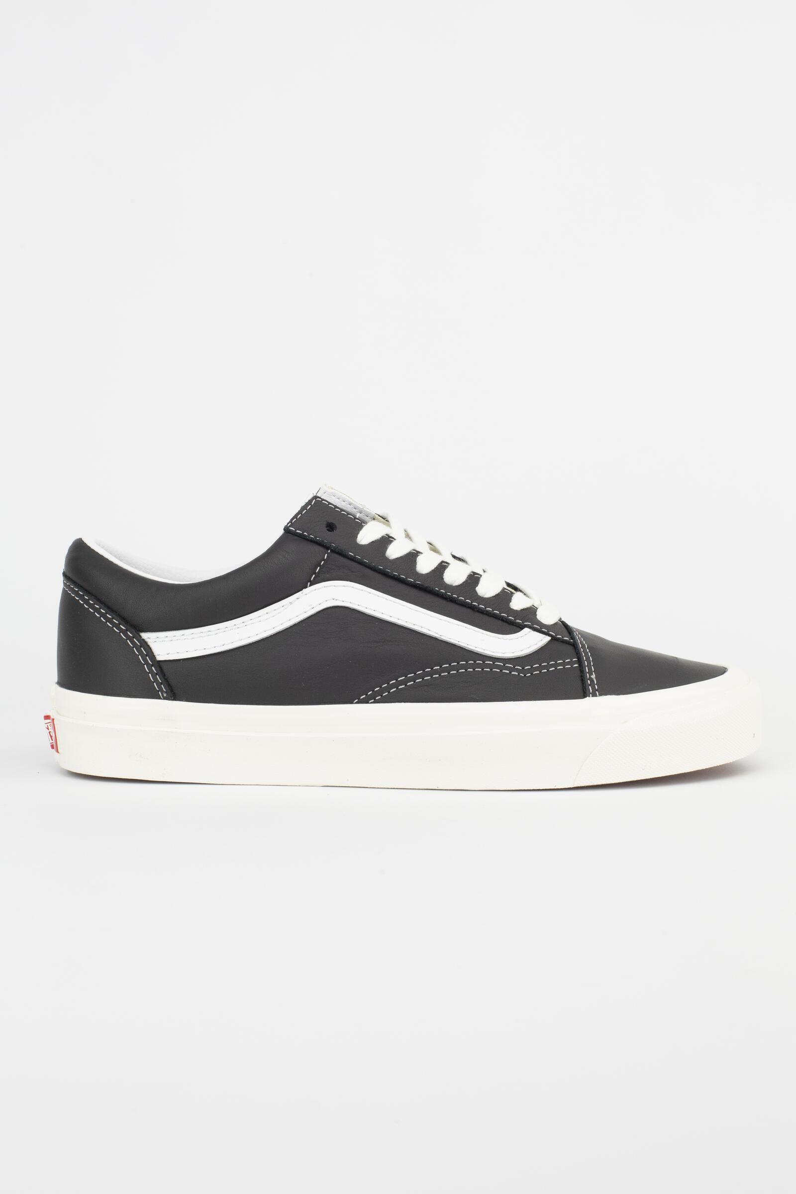 VANS picture