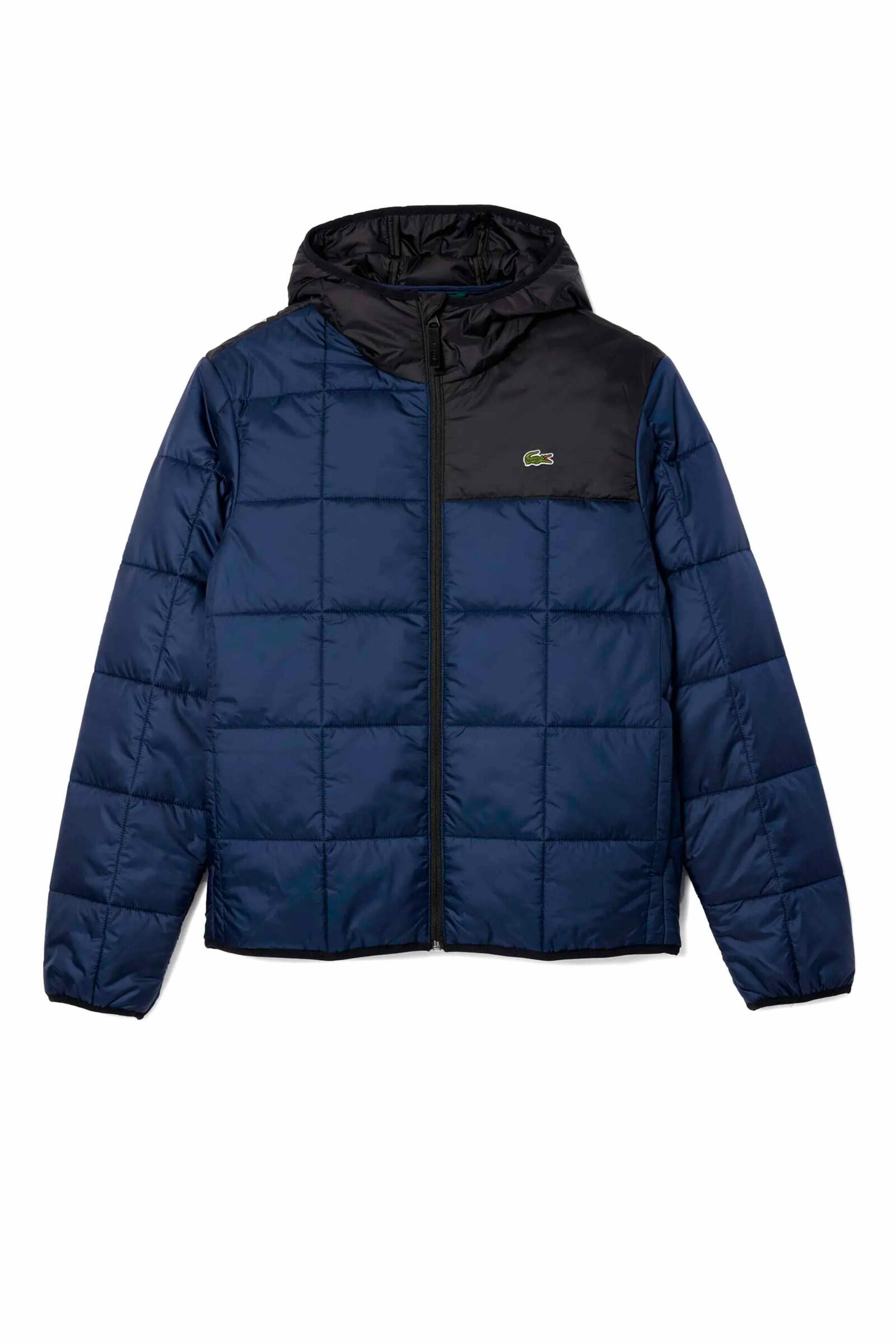 LACOSTE picture