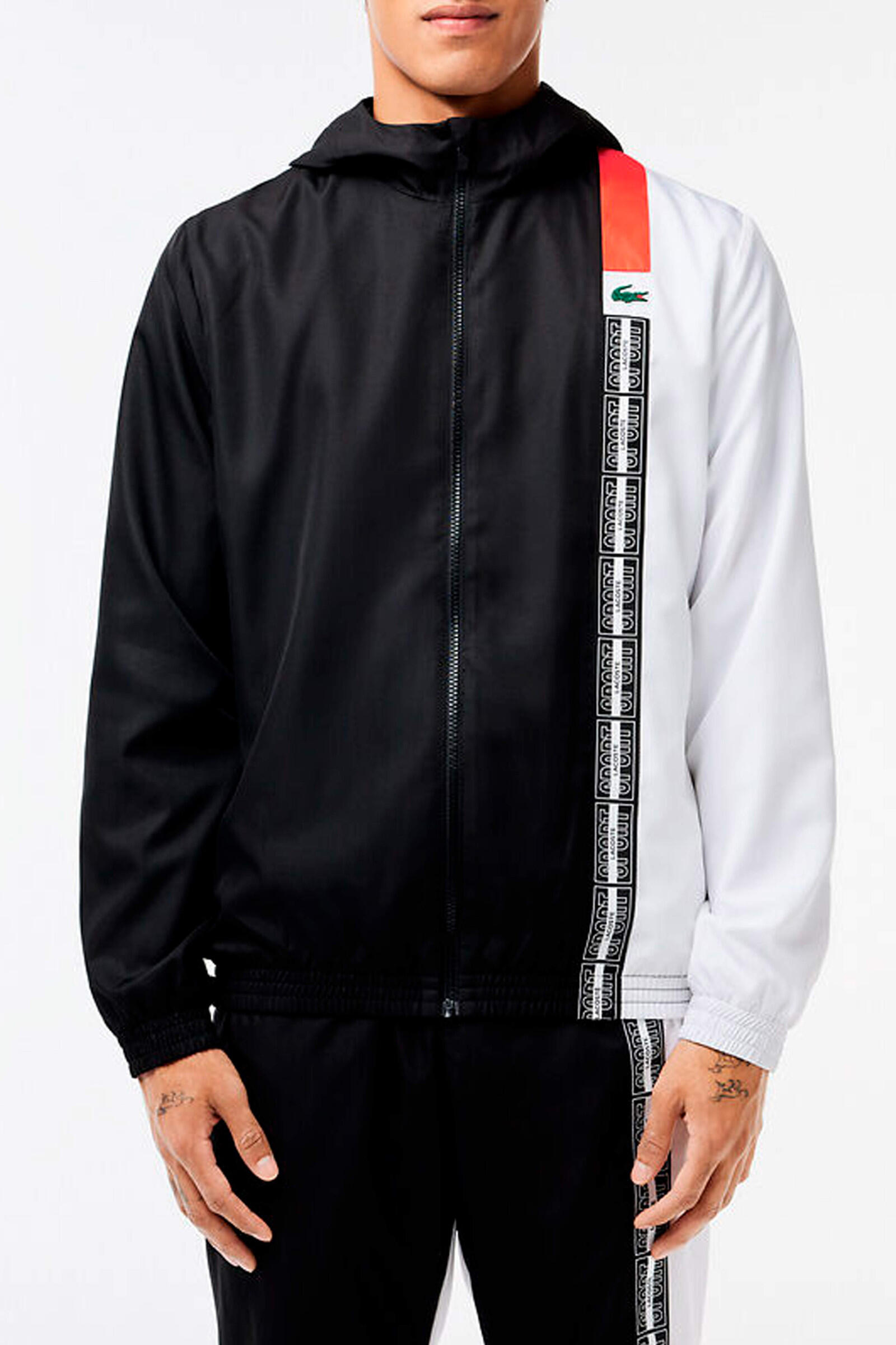LACOSTE picture