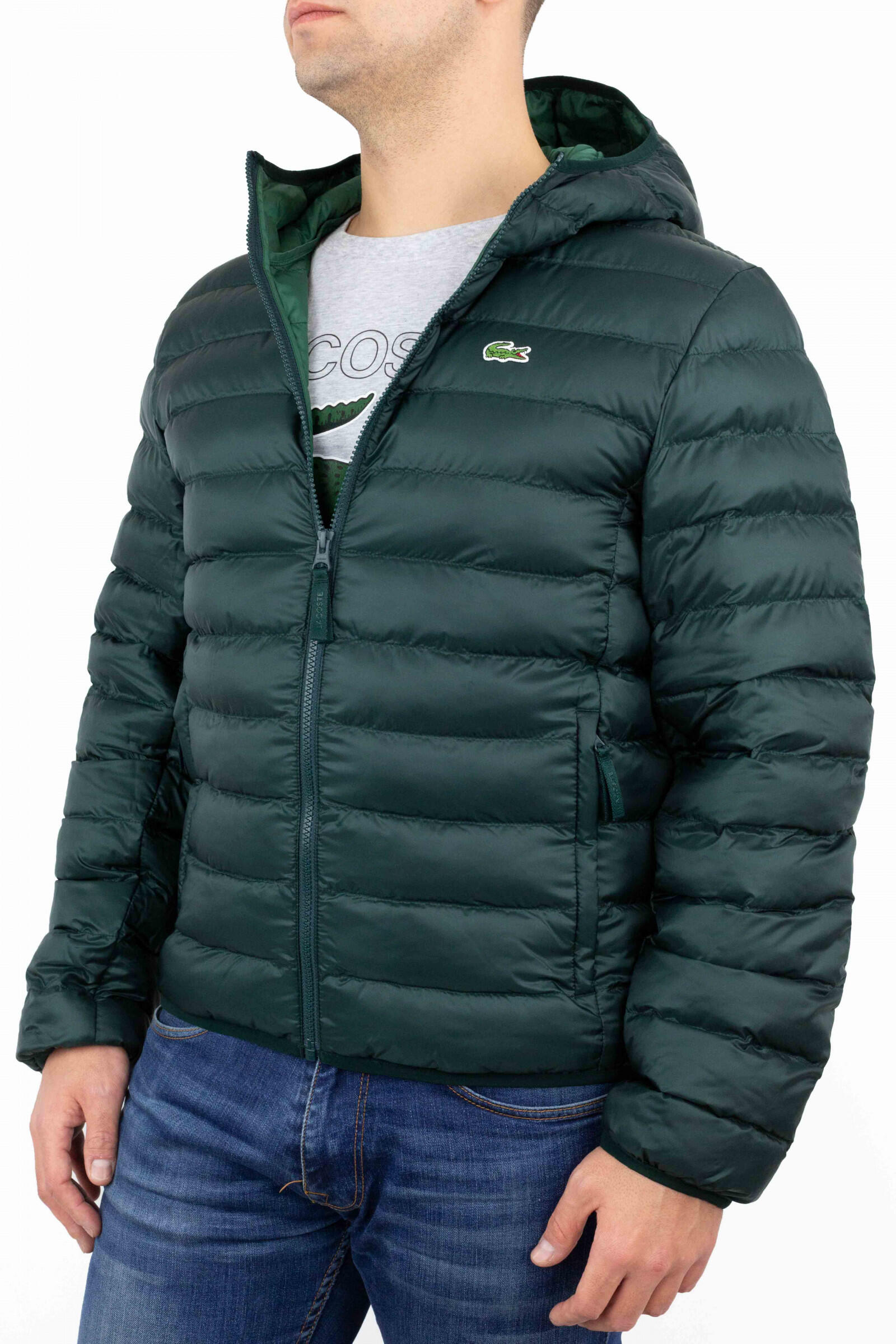 Lacoste Chaqueta Acolchada Verde 2/4