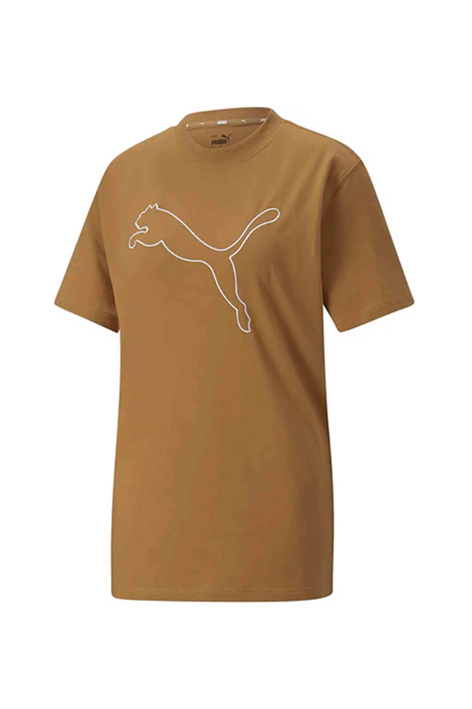 PUMA picture