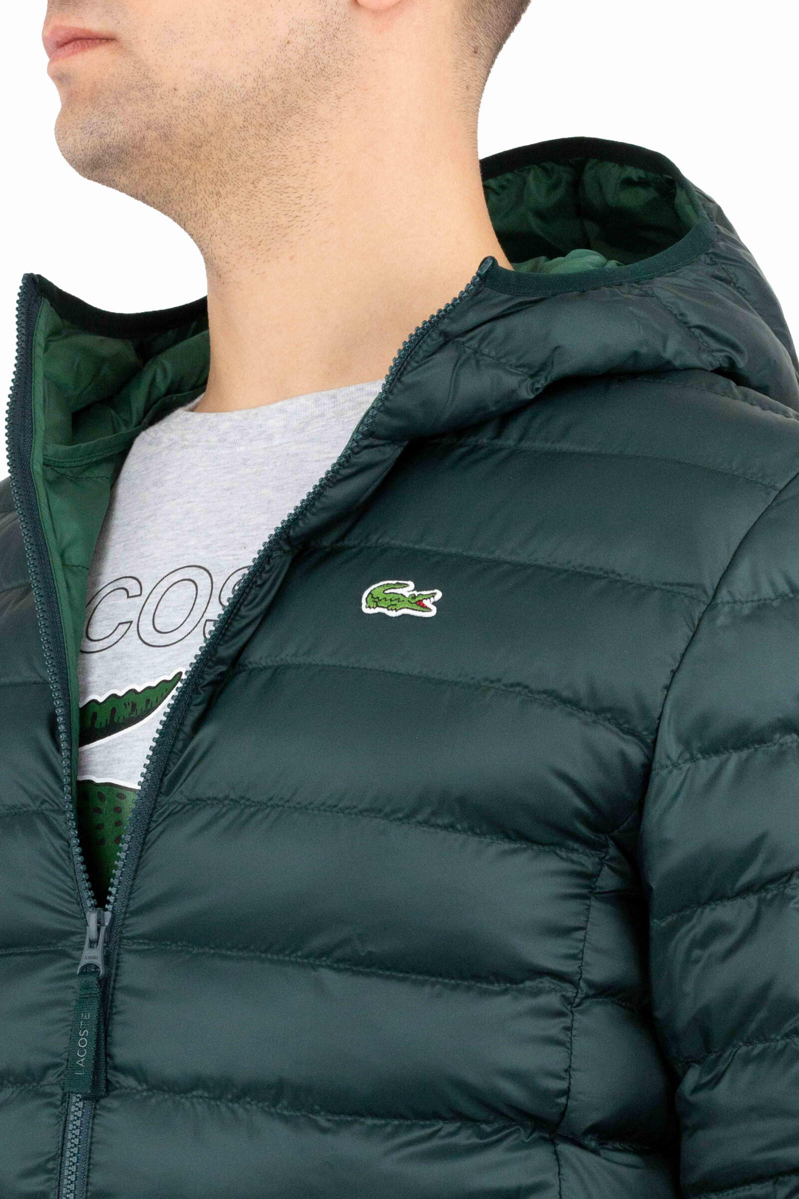 Lacoste Chaqueta Acolchada Verde 4/4