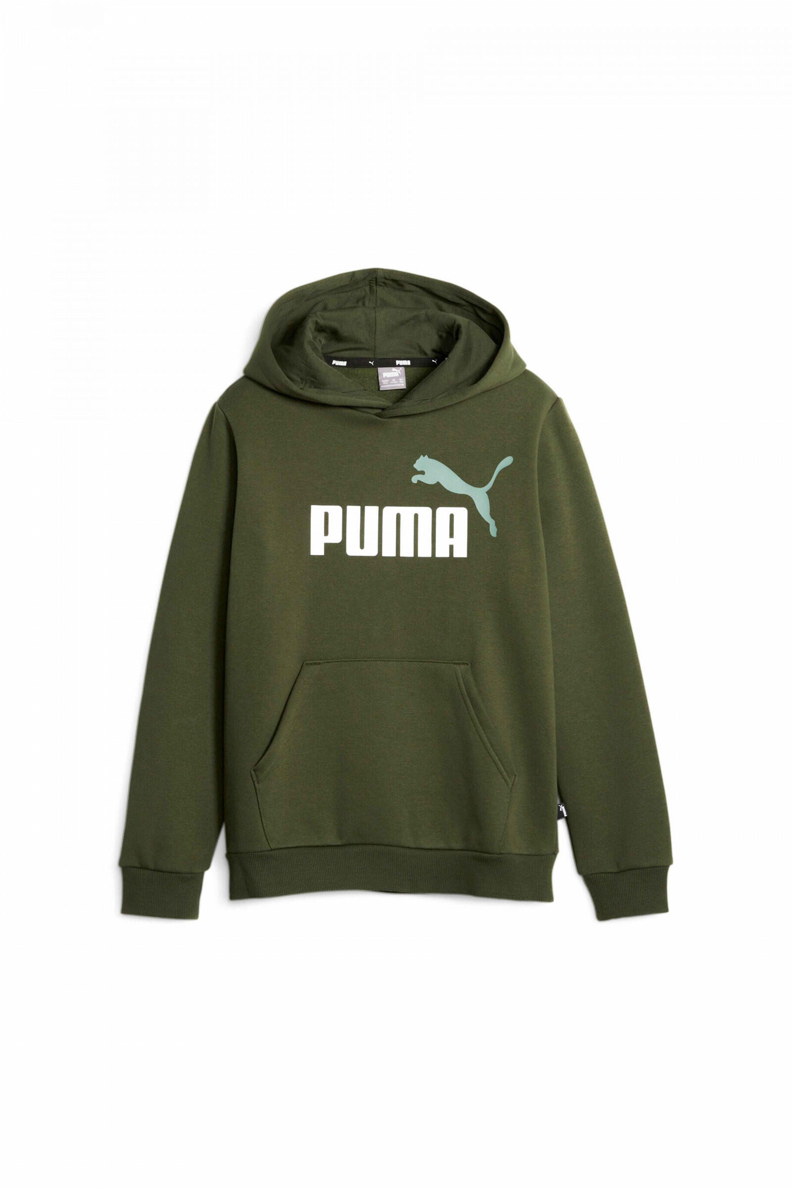 PUMA picture