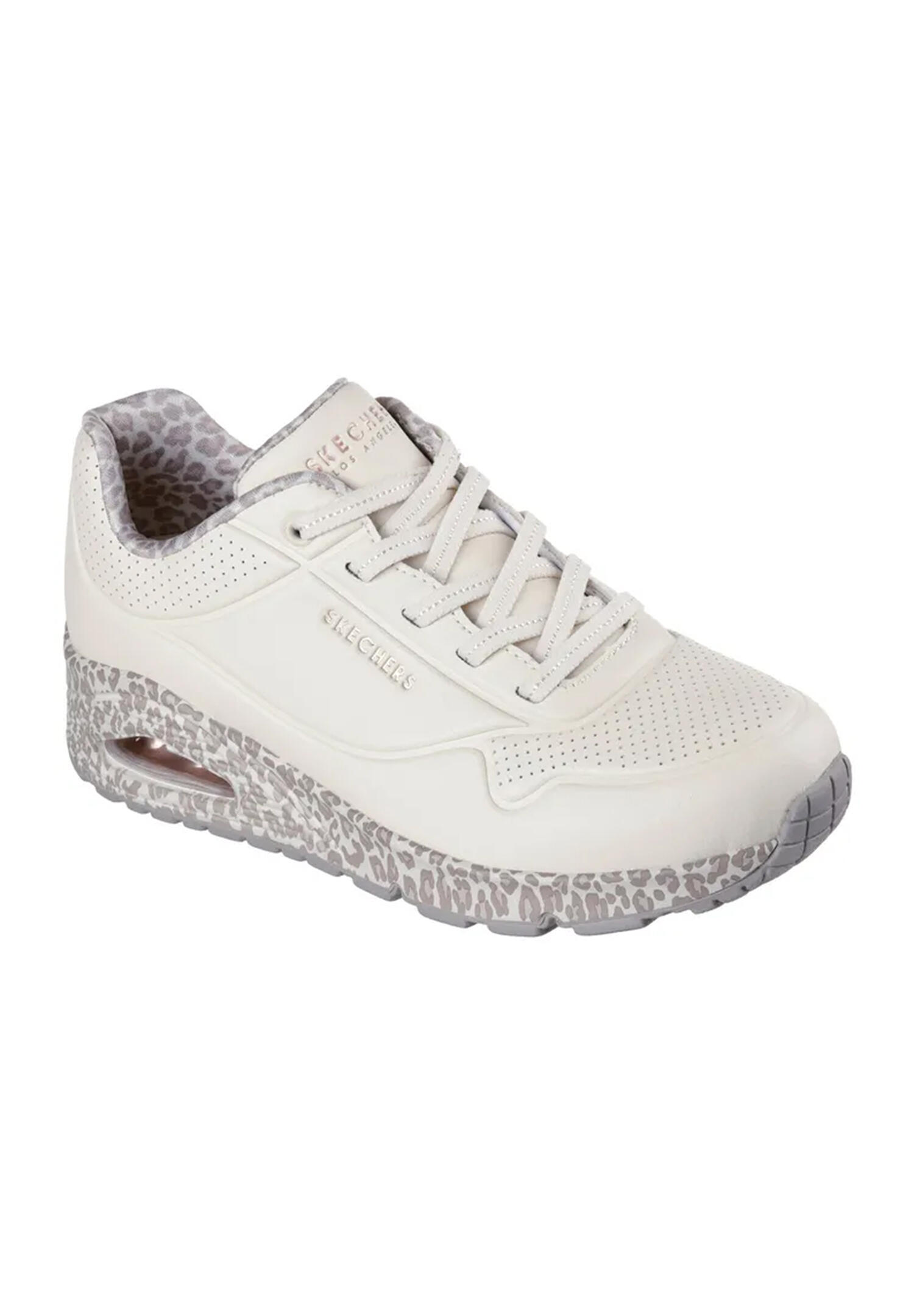 SKECHERS picture
