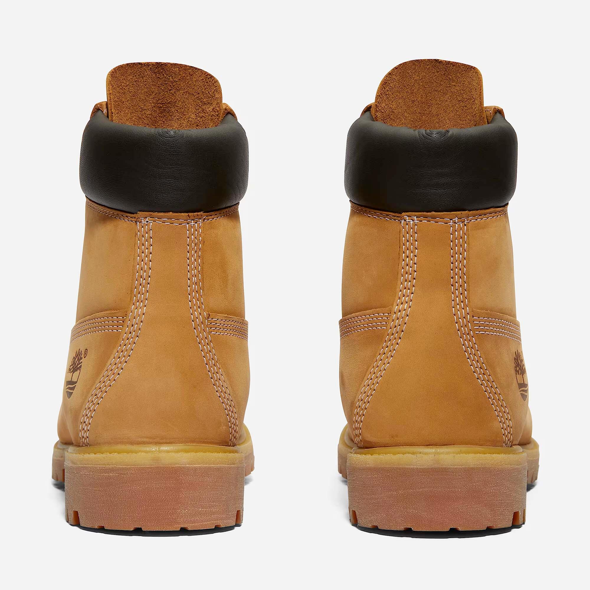 Botas Impermeáveis Timberland Prem 6 Lace Adulto 4/5