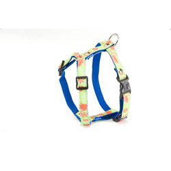 Harnais pour chien Martin Sellier S