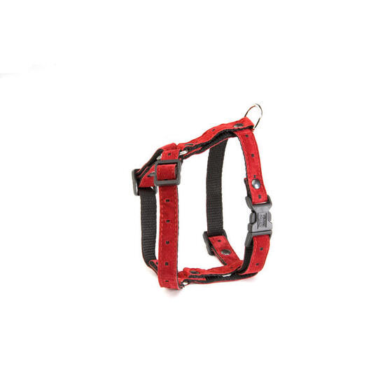 Harnais pour chien Martin Sellier S