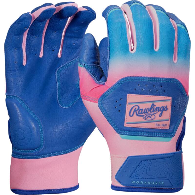 RAWLINGS Rawlings WH25BG Workhorse Funburst XL Royal/Pink
