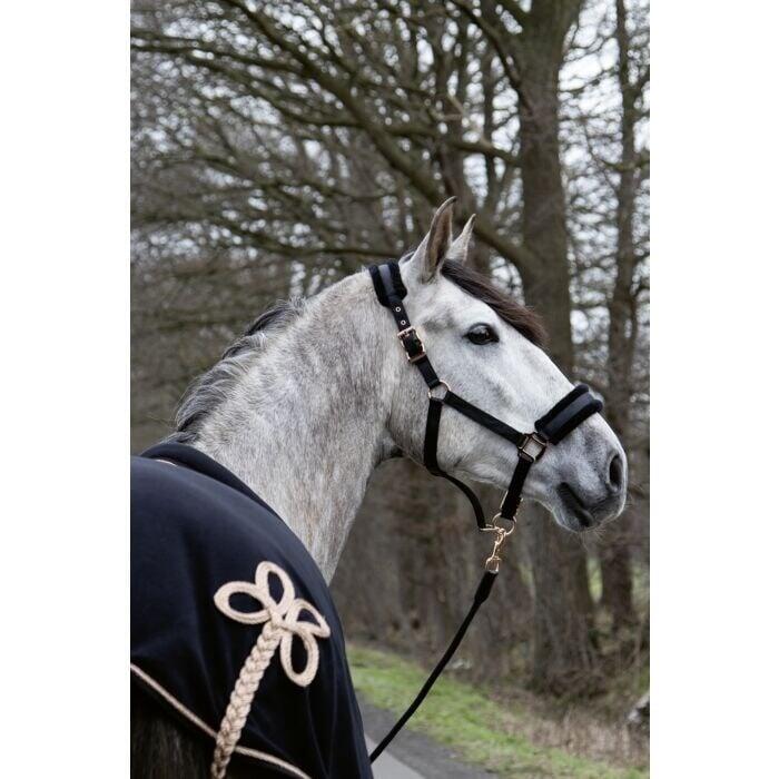 HKM Halster Rosegold Glamour Style - Zwart (Cob) 2/3