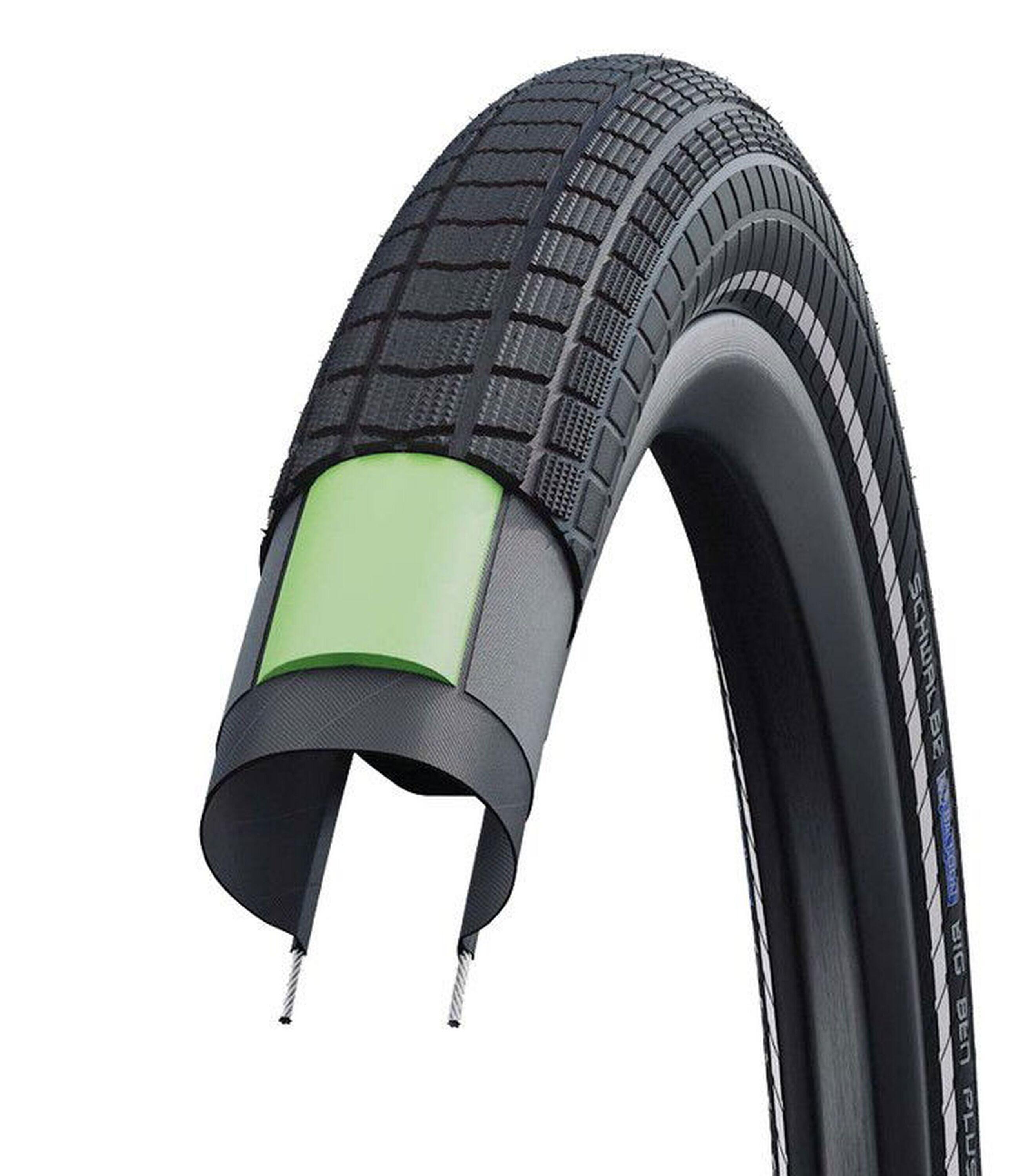 SCHWALBE picture