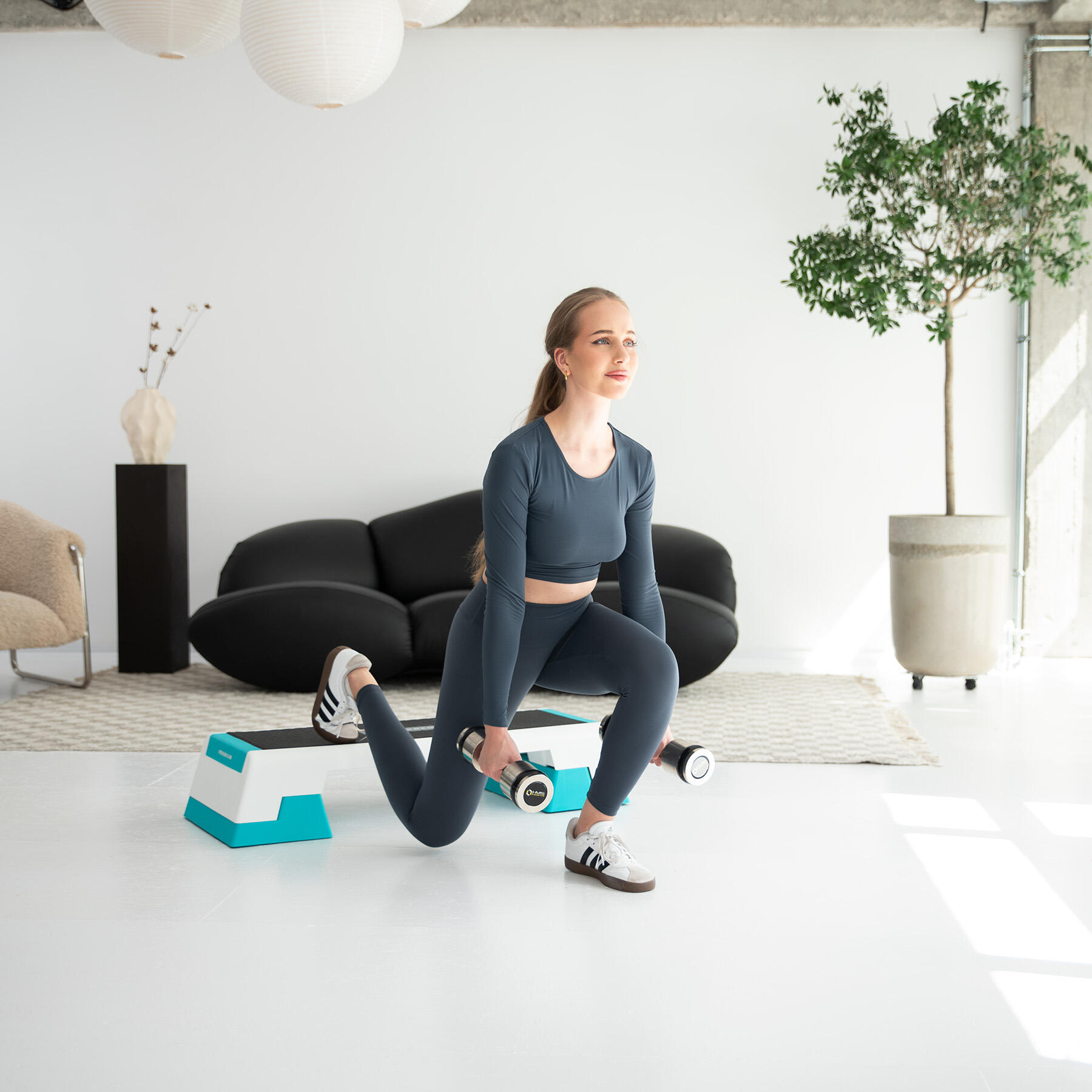 Premium Aerobic Step - Wit/Blauw 2/7
