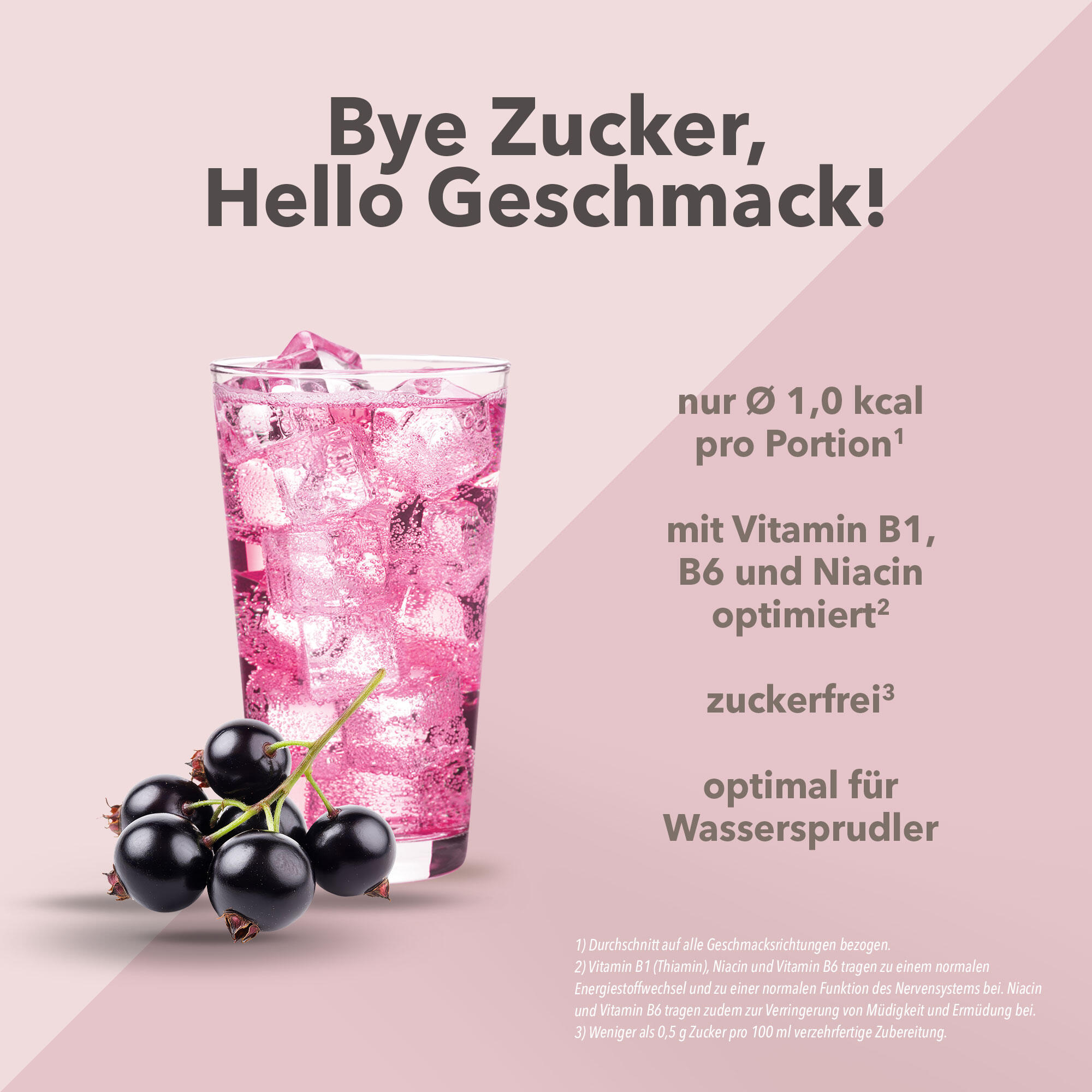Vital Drink Zerop - Schwarze Johannisbeere - 1000 ml Flasche 2/4