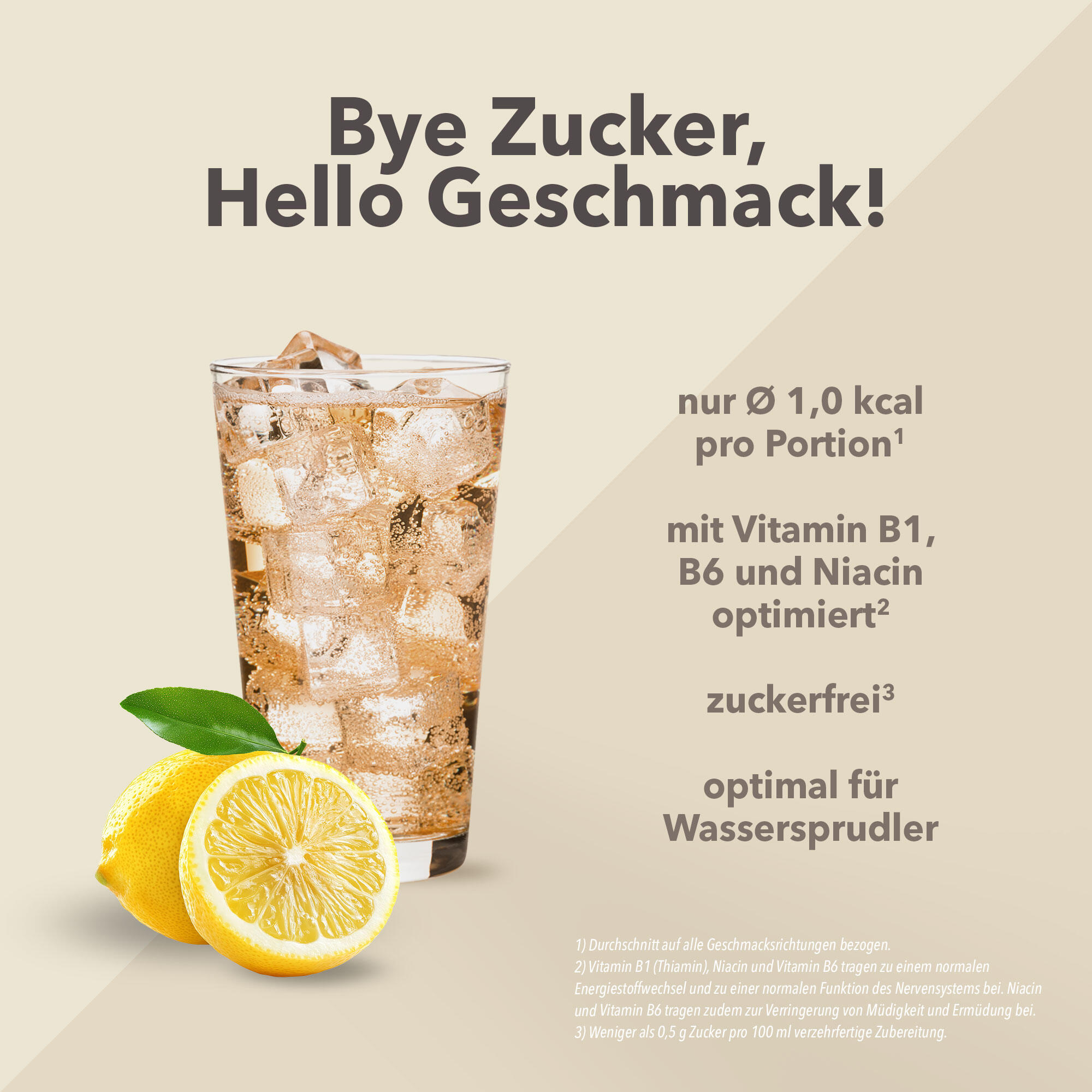 Vital Drink Zerop - Eistee Zitrone - 1000 ml Flasche 2/4
