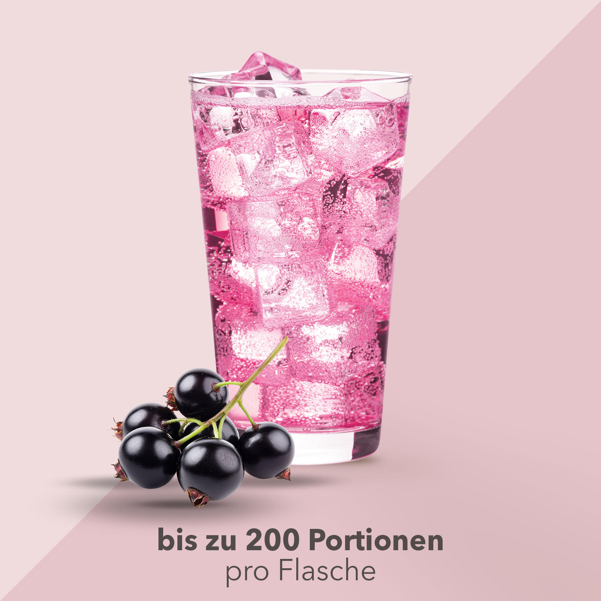 Vital Drink Zerop - Schwarze Johannisbeere - 1000 ml Flasche 3/4