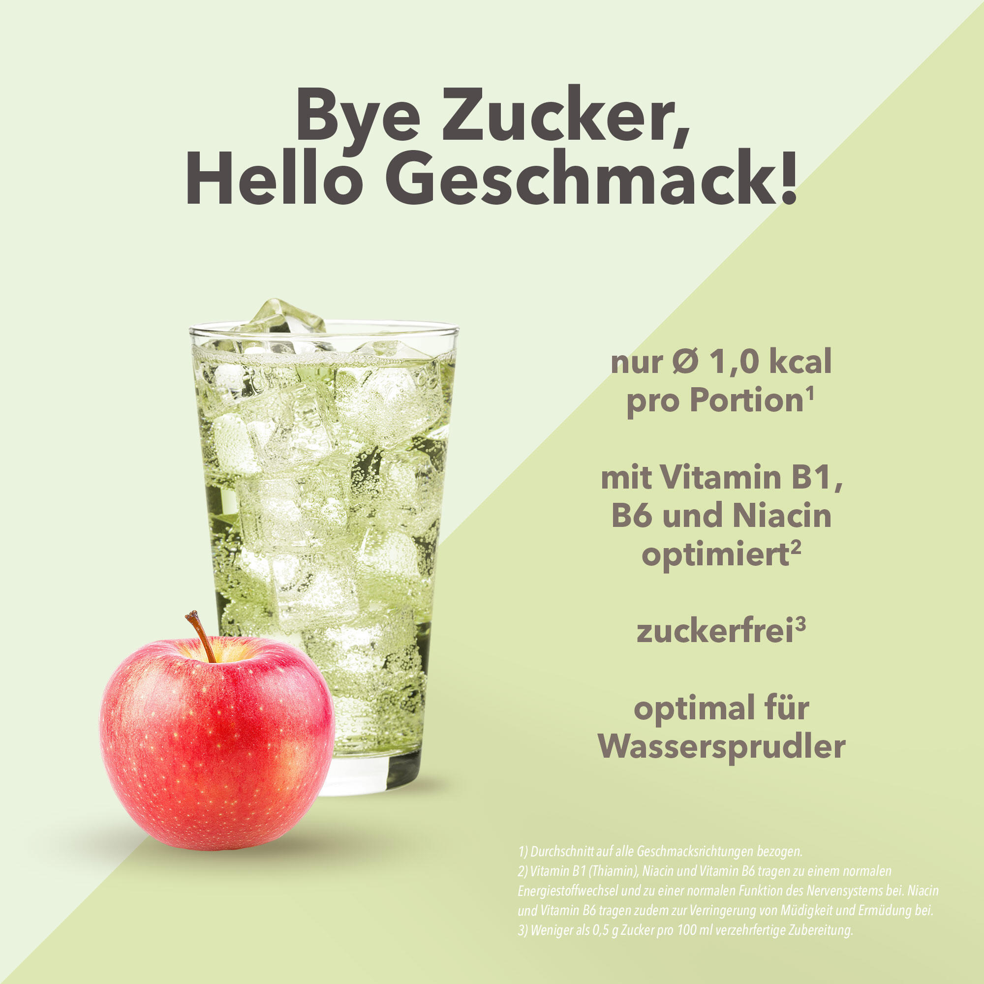 Vital Drink Zerop - Apfel Holunderblüte - 1000 ml Flasche 2/4