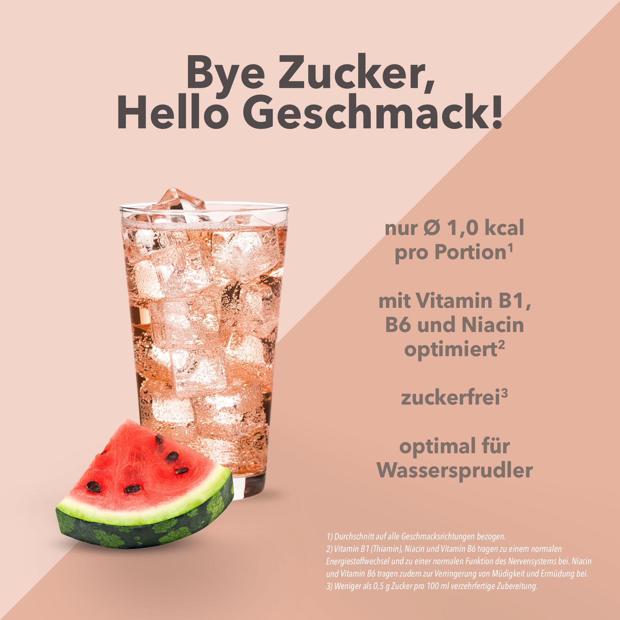 Vital Drink Zerop - Wassermelone - 1000 ml Flasche 2/4