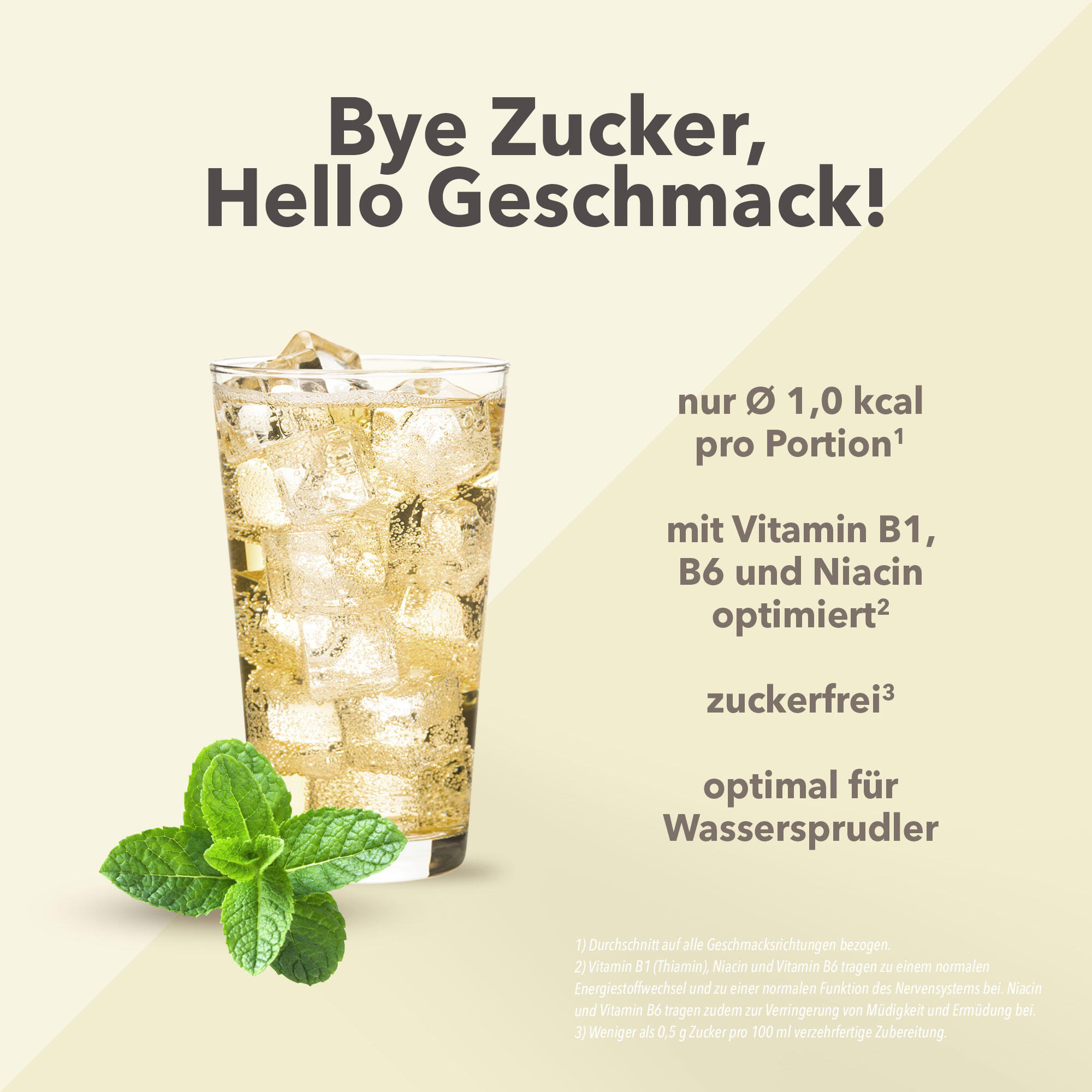Vital Drink Zerop - Kräuterlimonade - 1000 ml Flasche 2/4