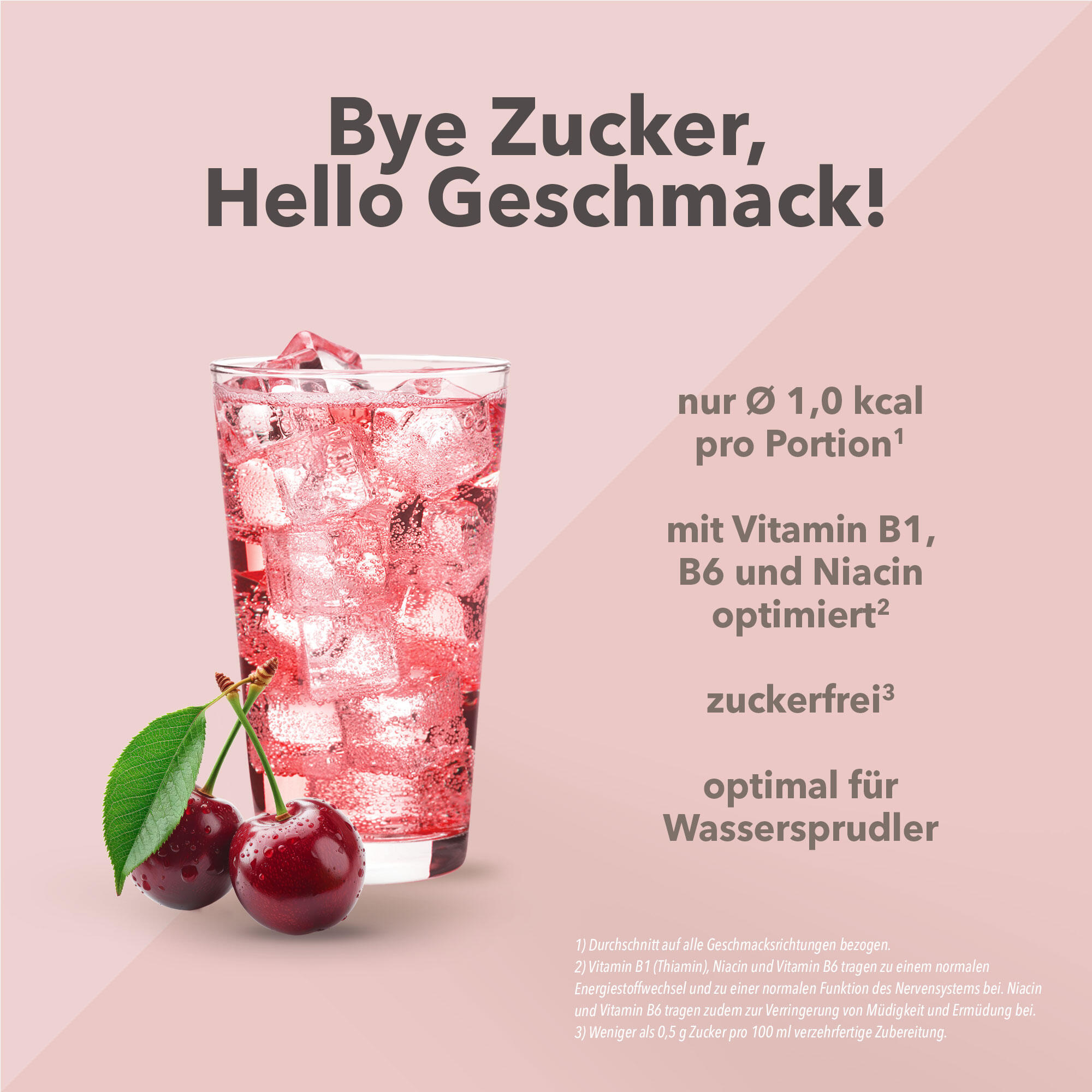 Vital Drink Zerop - Kirsche - 1000 ml Flasche 2/4