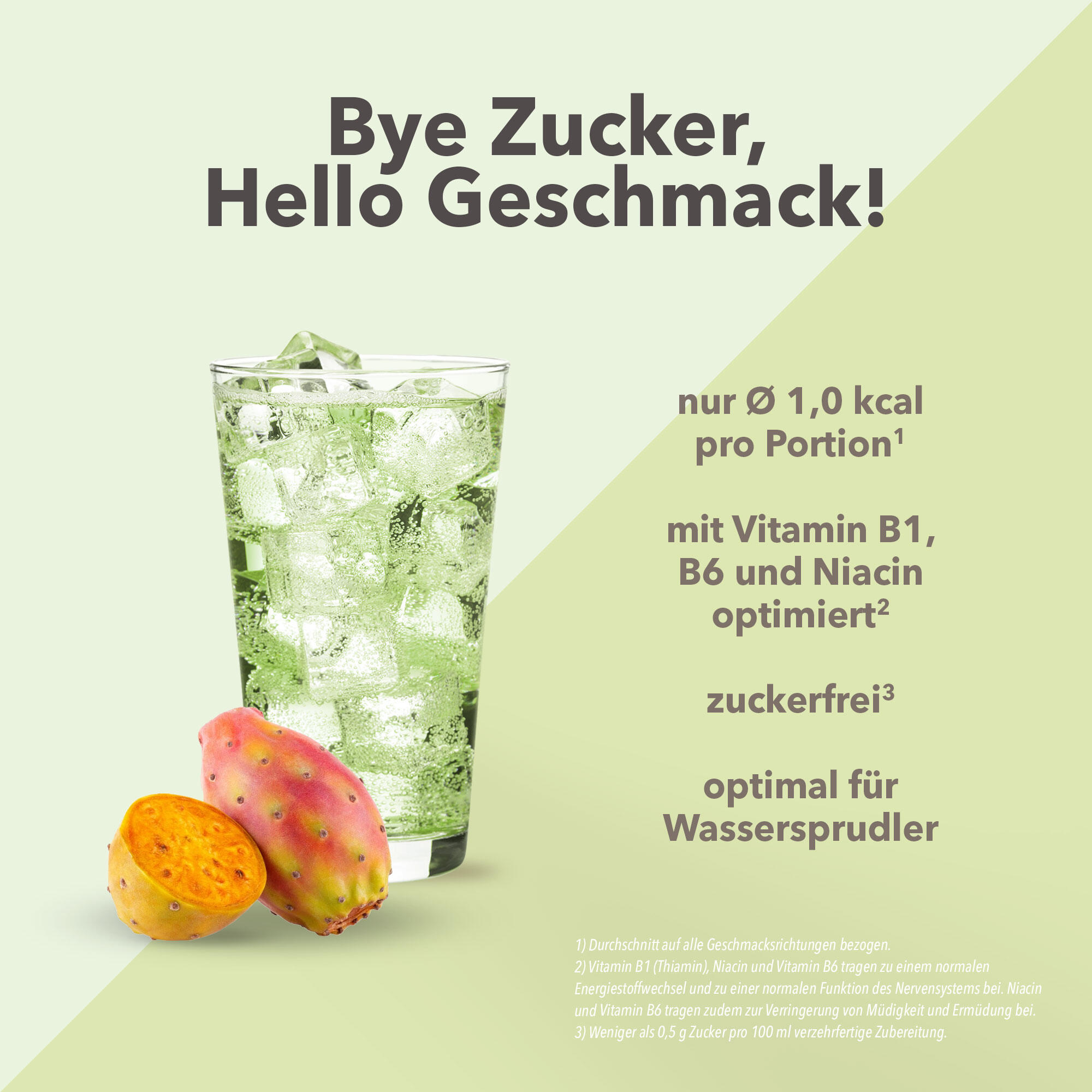Vital Drink Zerop - Kaktusfeige - 1000 ml Flasche 2/4