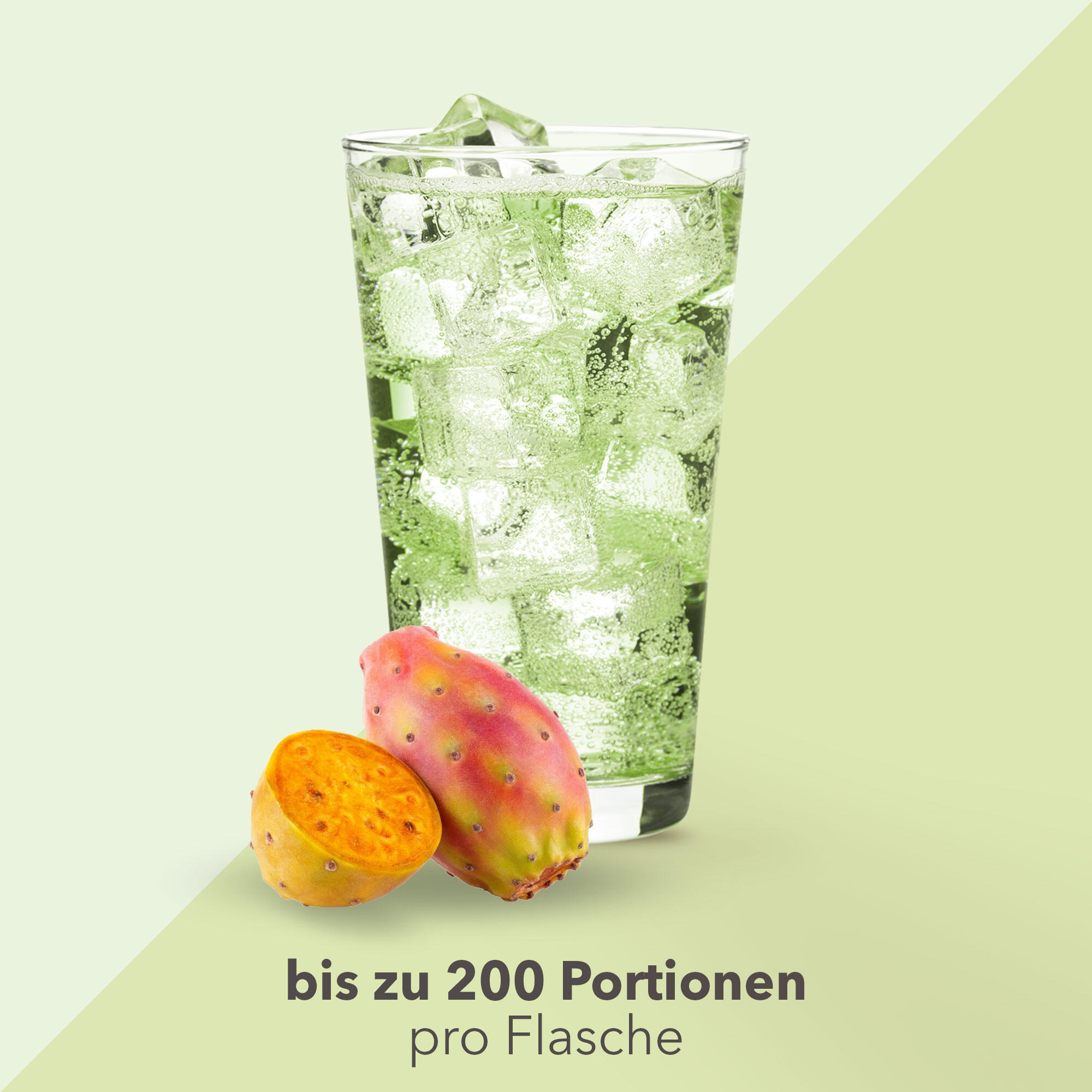 Vital Drink Zerop - Kaktusfeige - 1000 ml Flasche 3/4
