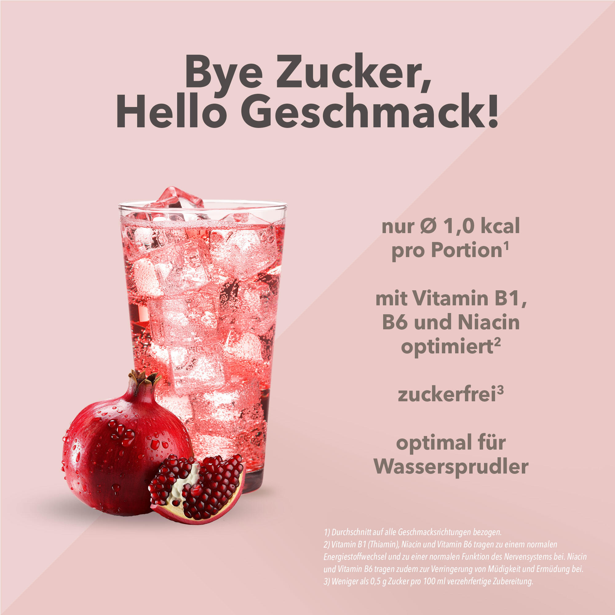 Vital Drink Zerop - Granatapfel Cranberry - 1000 ml Flasche 2/4