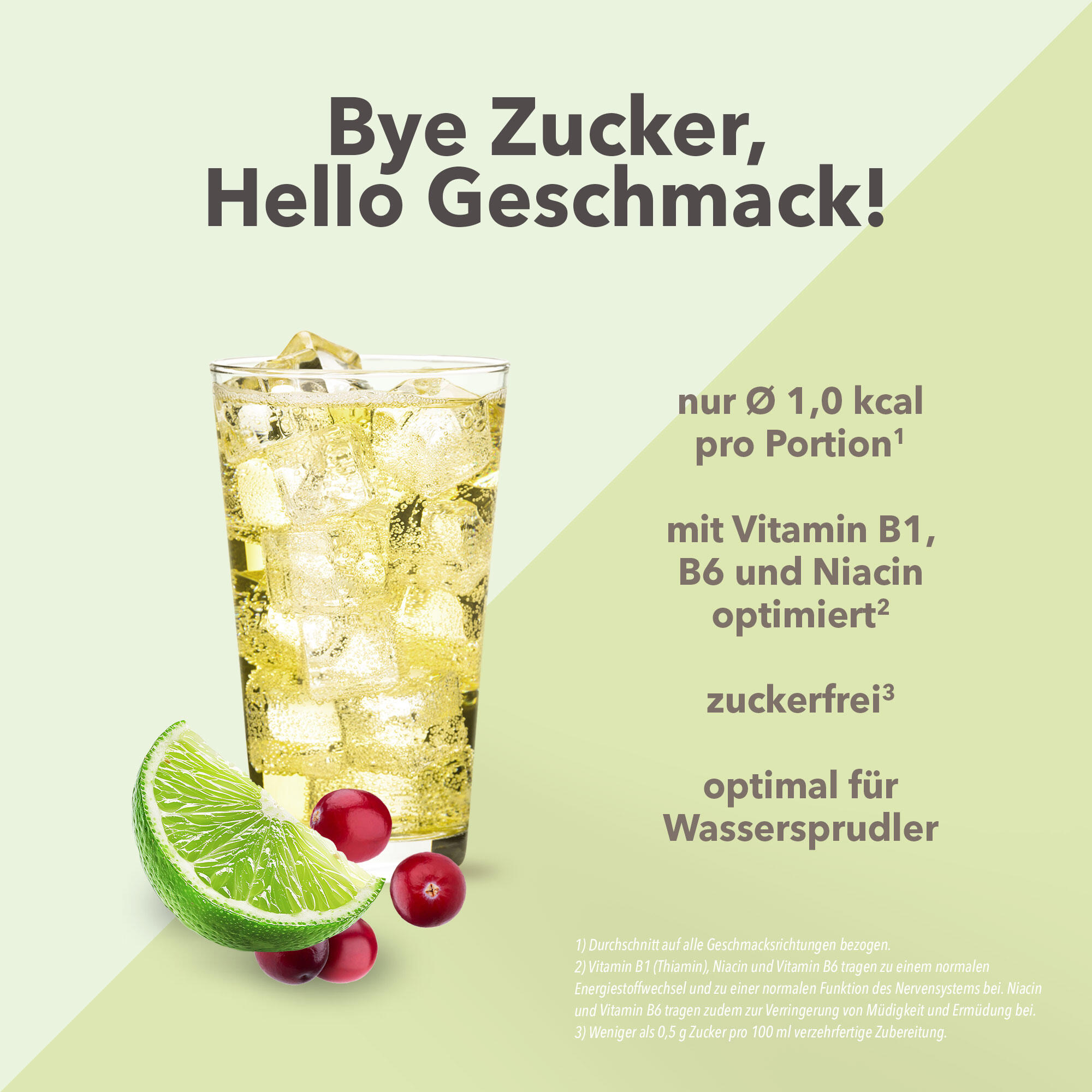 Vital Drink Zerop - Preiselbeere Limette - 1000 ml Flasche 2/4
