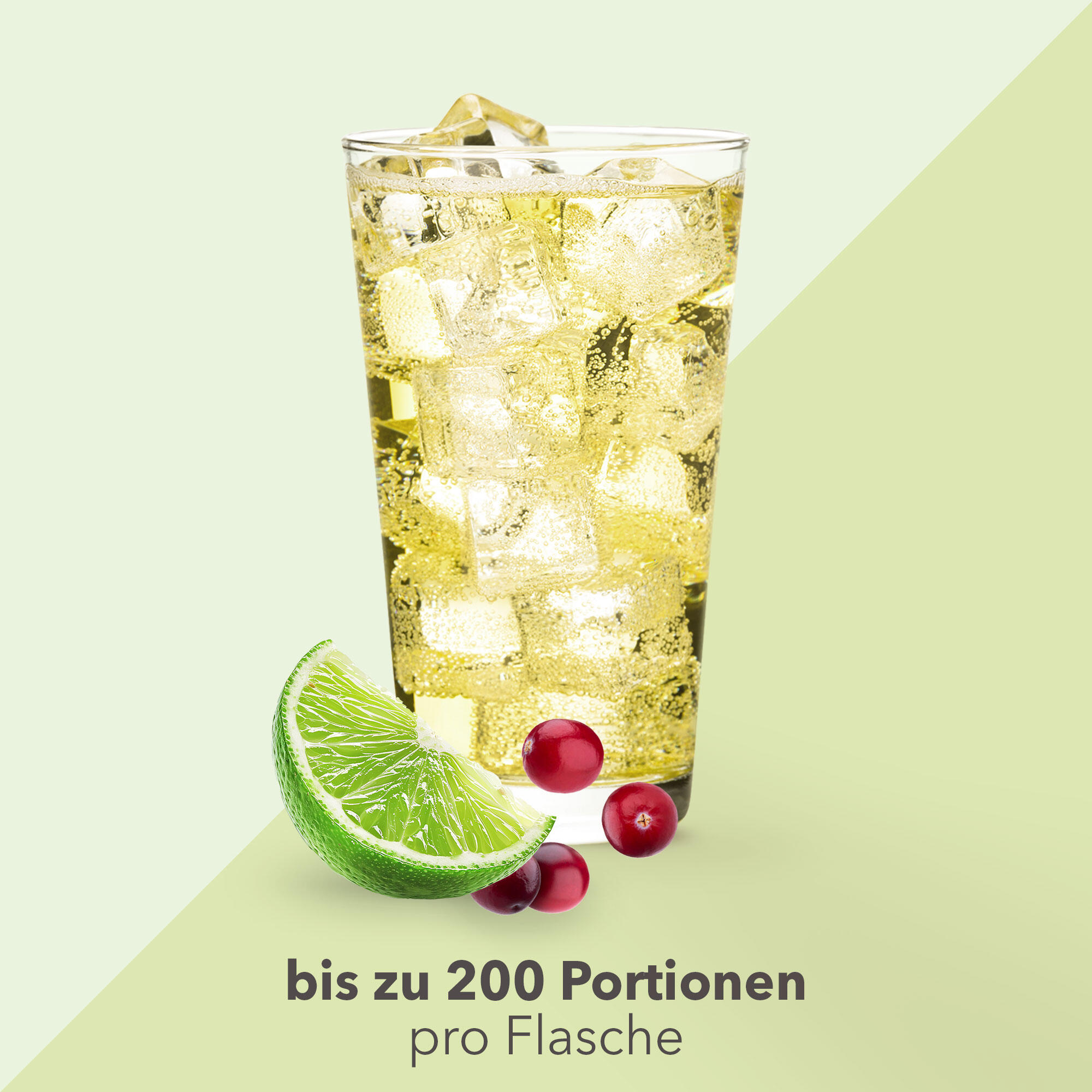 Vital Drink Zerop - Preiselbeere Limette - 1000 ml Flasche 3/4