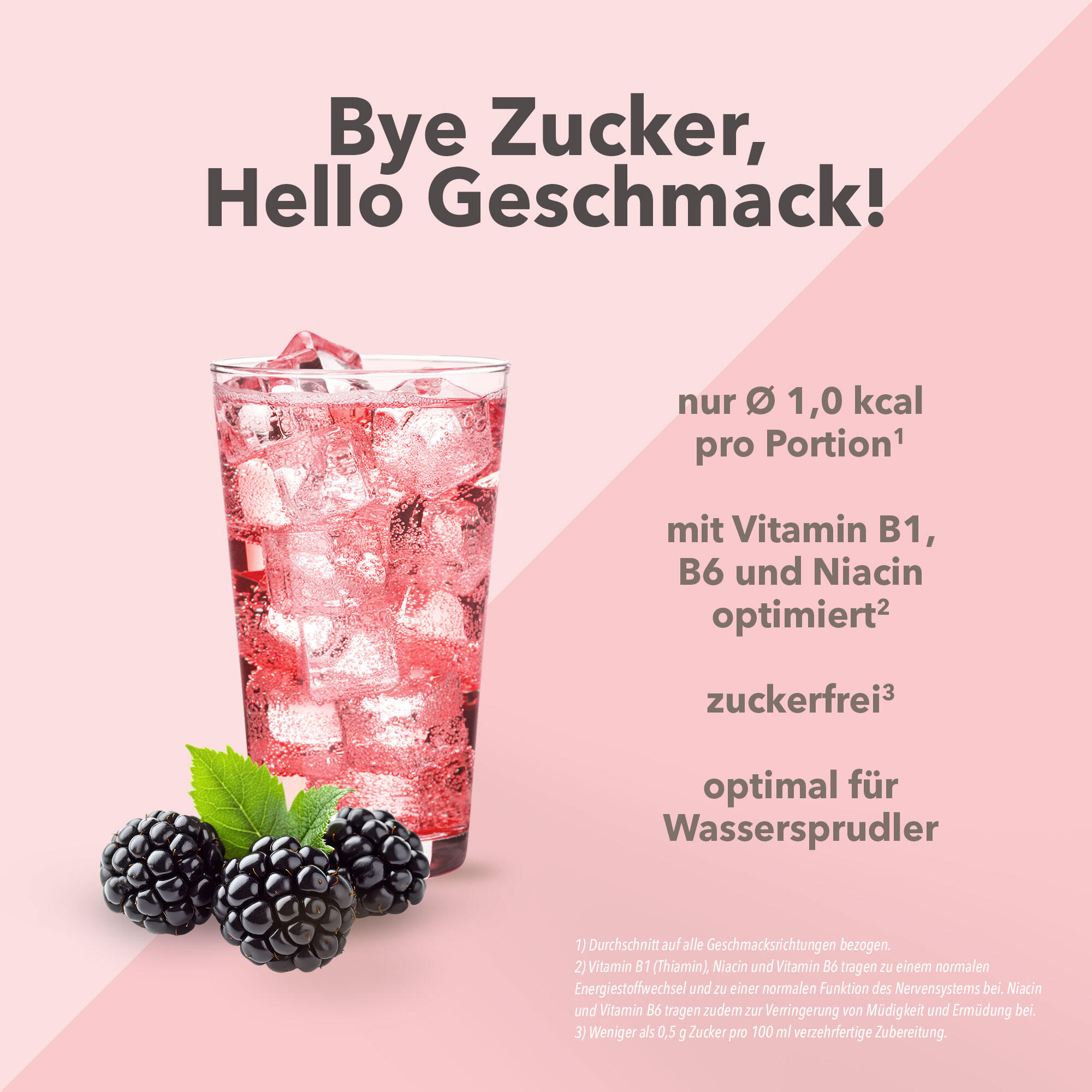 Vital Drink Zerop - Brombeere - 1000 ml Flasche 2/5