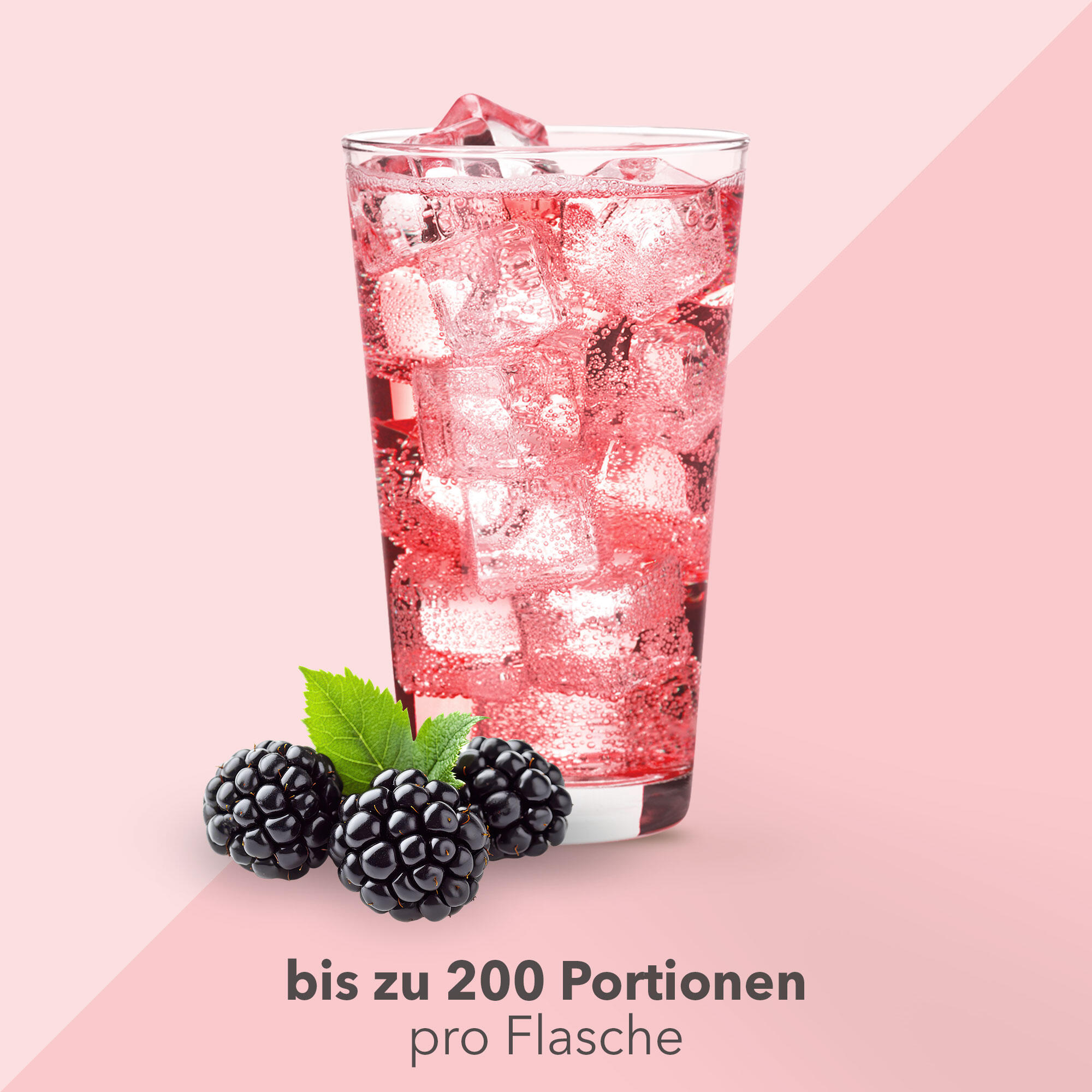 Vital Drink Zerop - Brombeere - 1000 ml Flasche 3/5