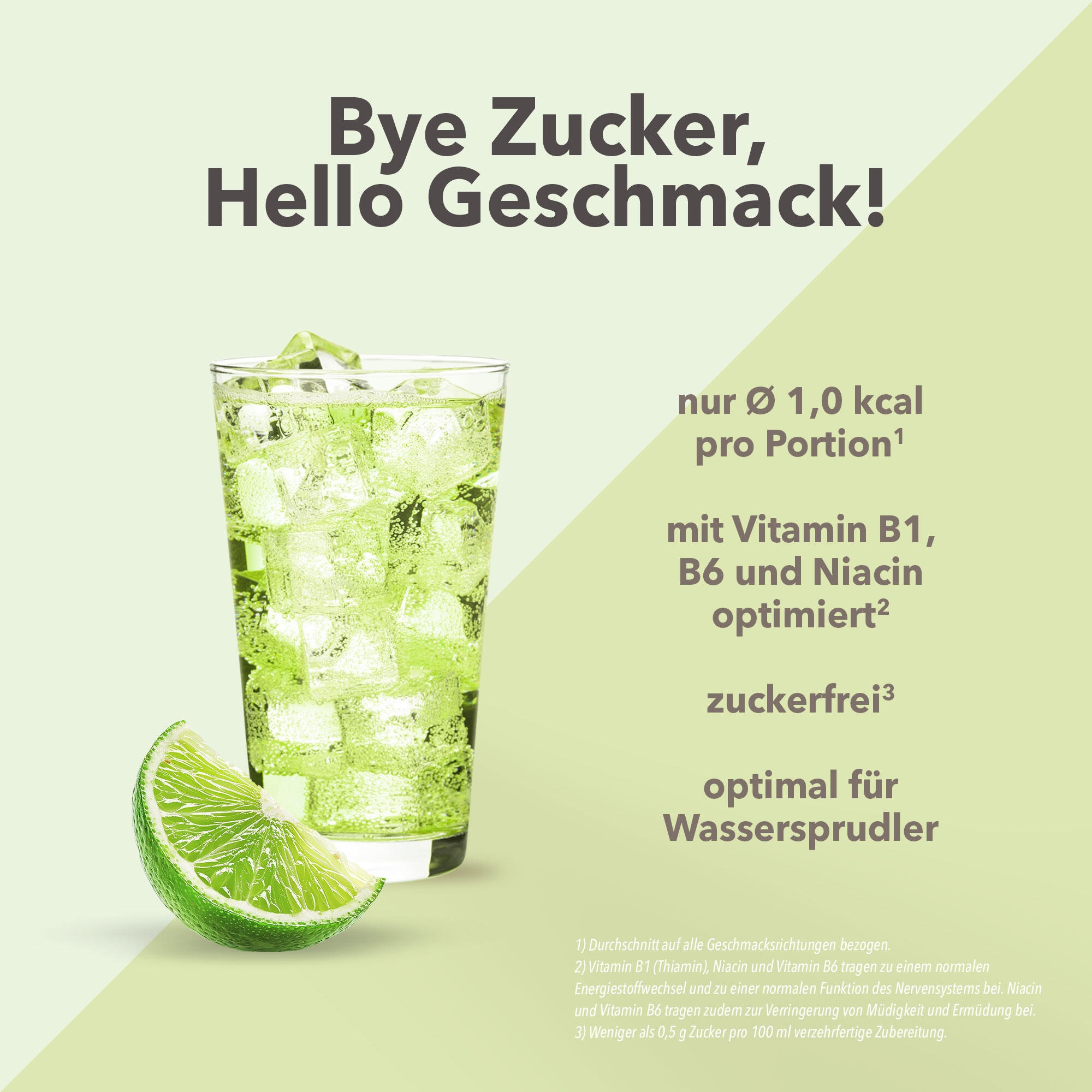 Vital Drink Zerop - Grüntee Limette - 1000 ml Flasche 2/4