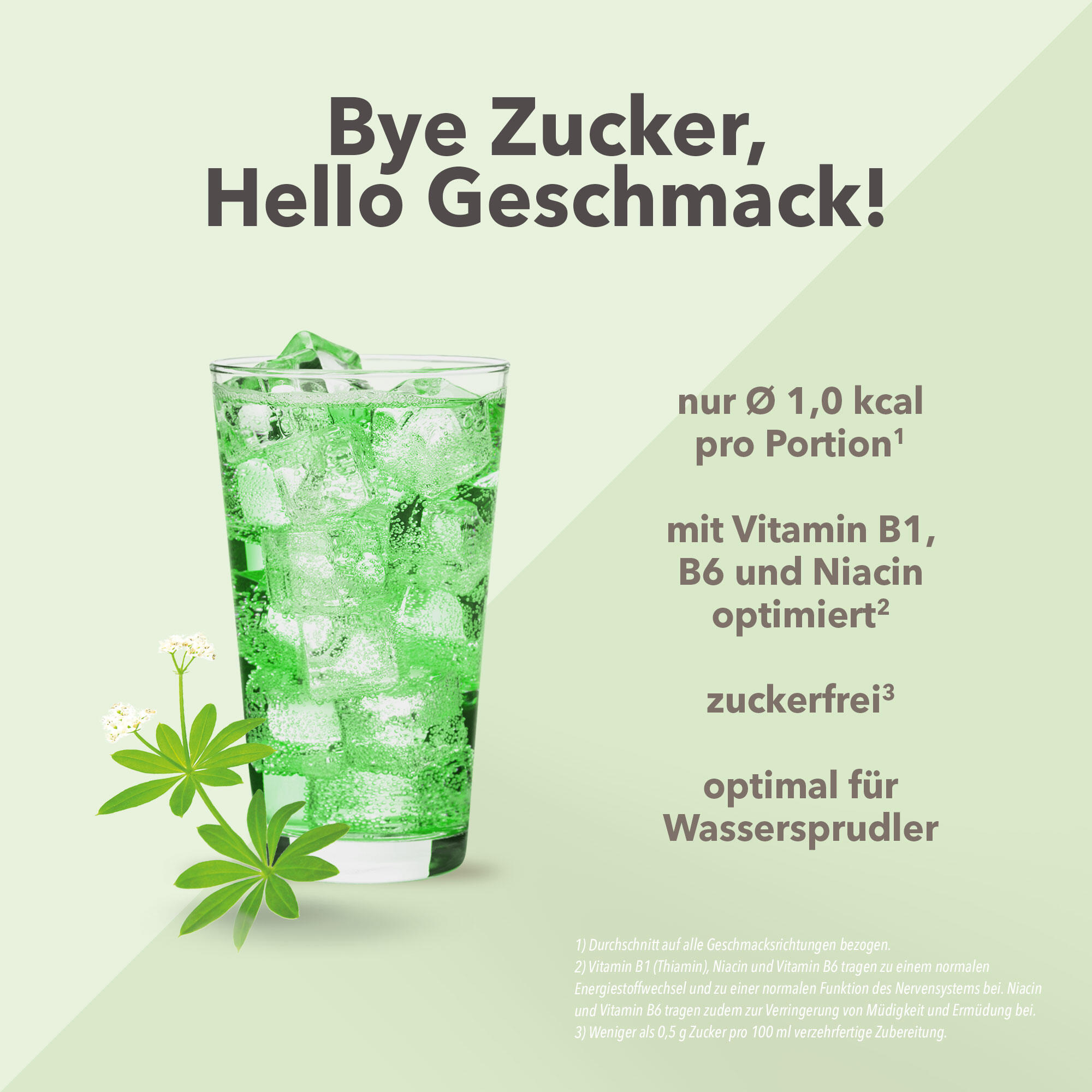 Vital Drink Zerop - Waldmeister - 1000 ml Flasche 2/4