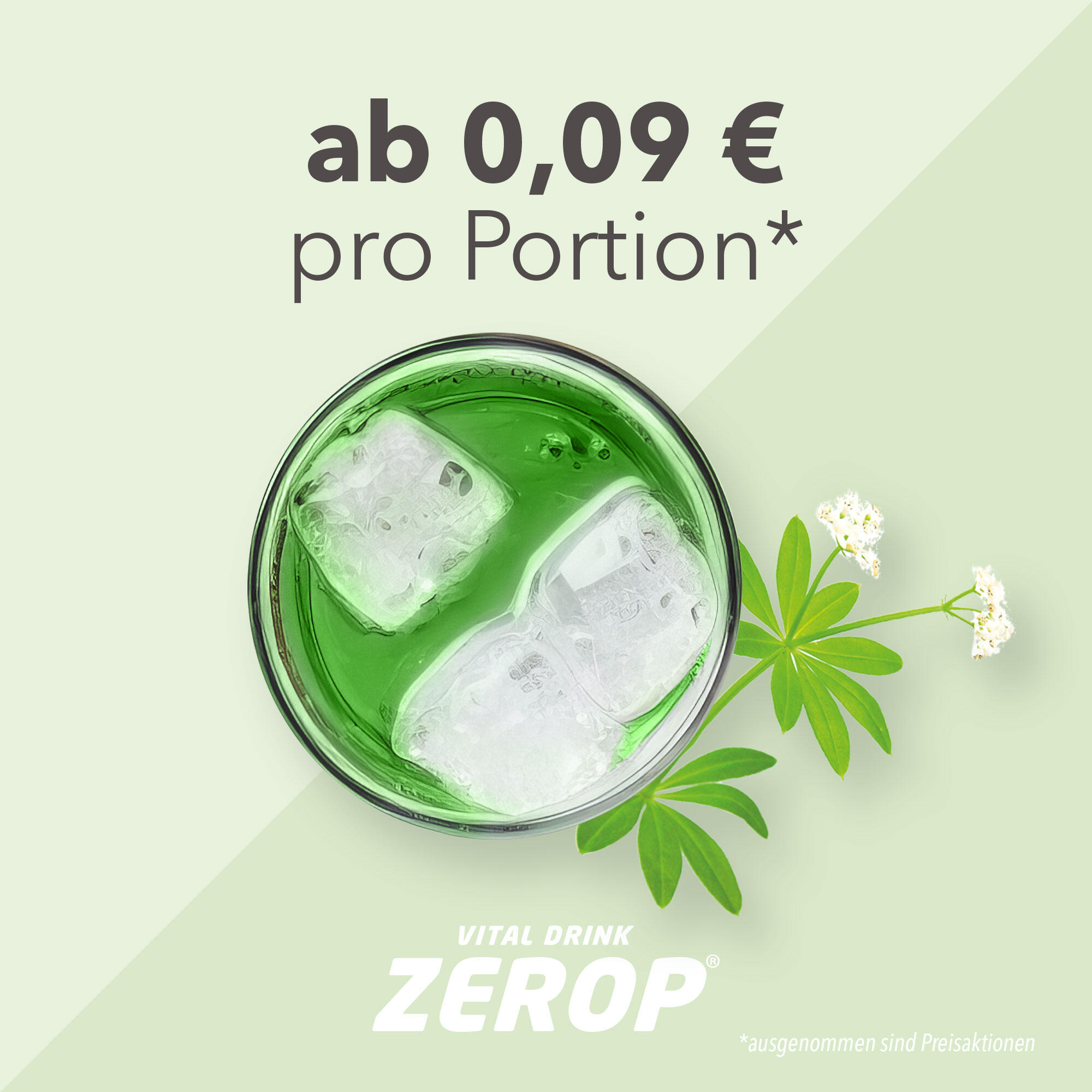 Vital Drink Zerop - Waldmeister - 1000 ml Flasche 4/4