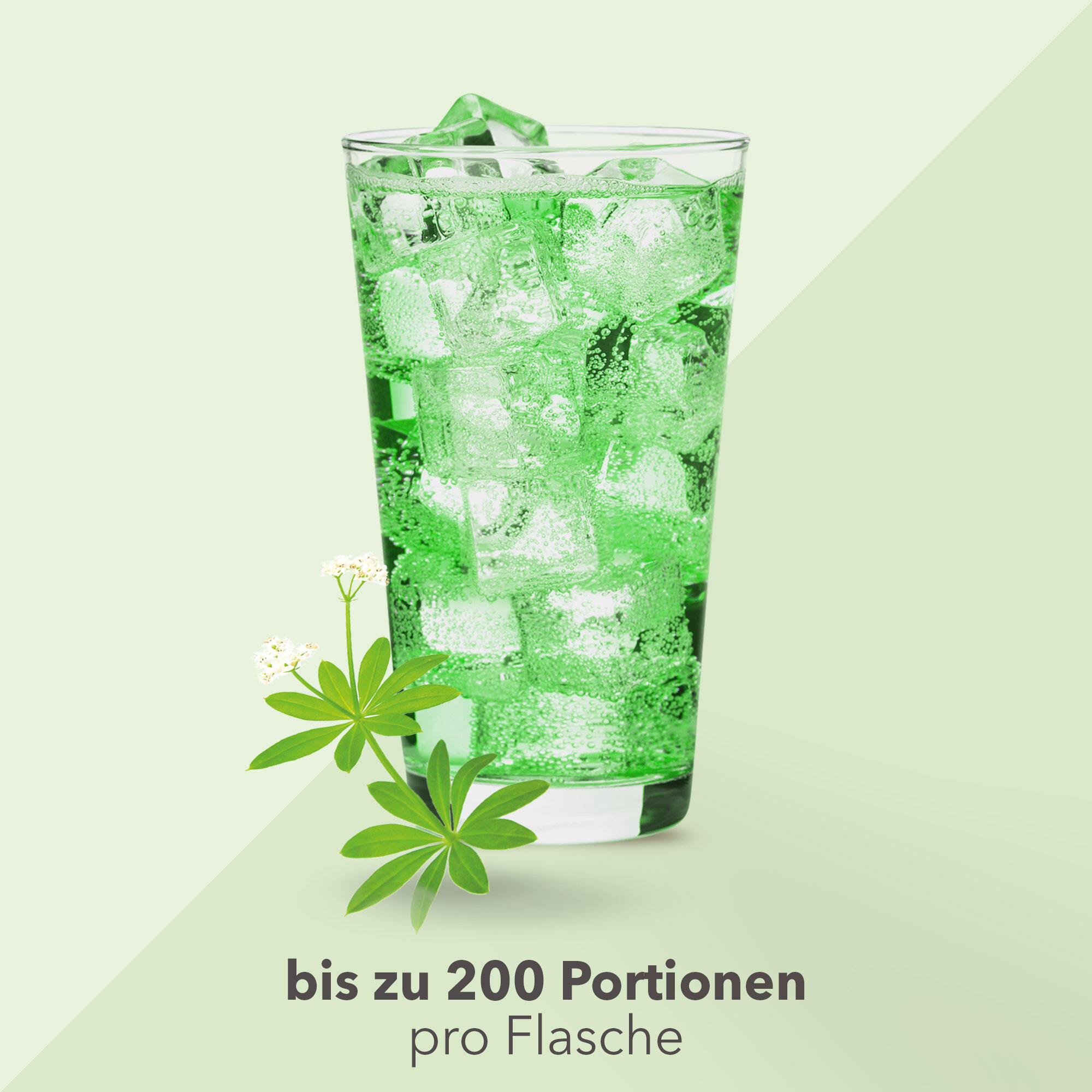 Vital Drink Zerop - Waldmeister - 1000 ml Flasche 3/4